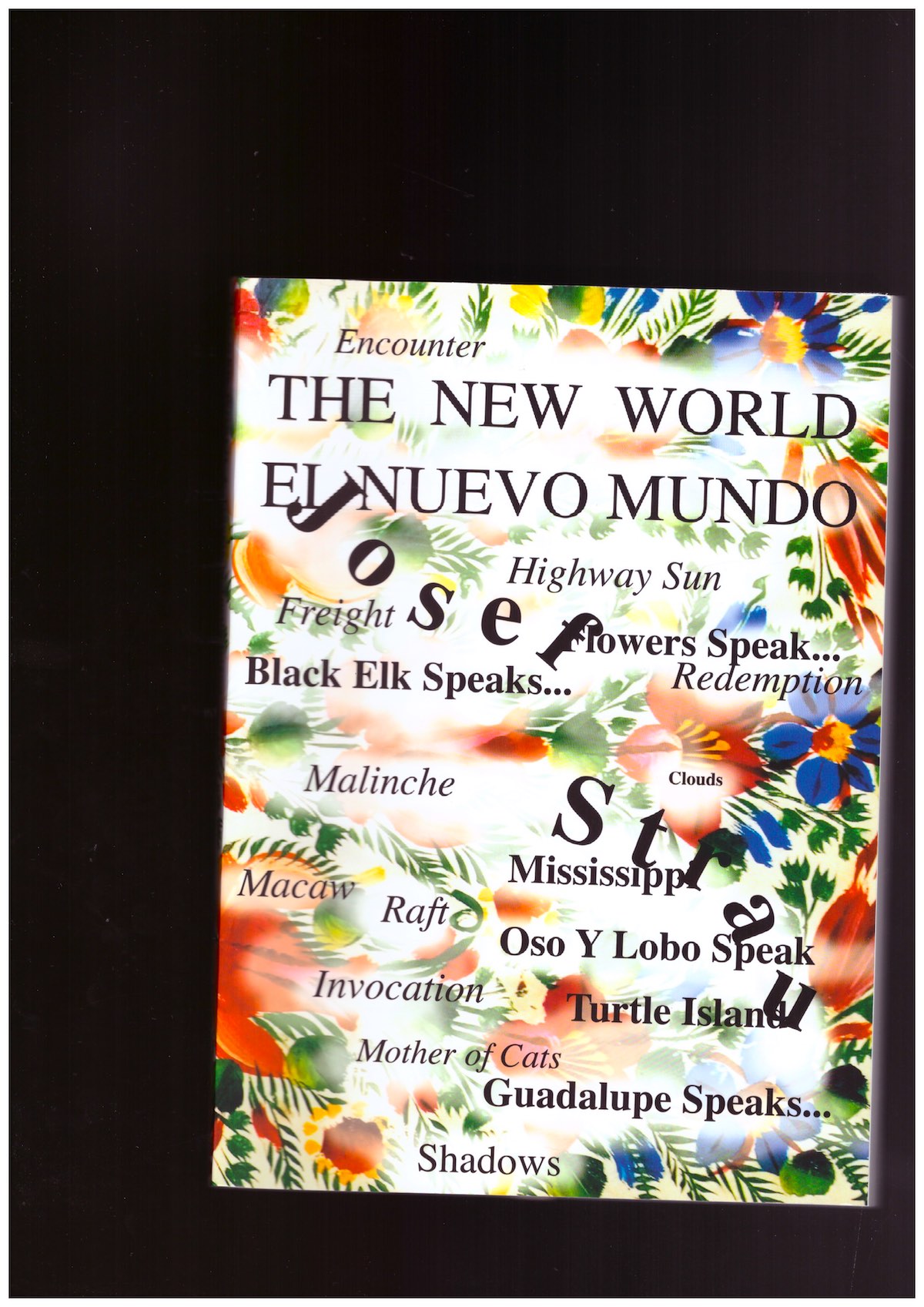 STRAU, Josef; ØVSTEBØ, Solveig (eds.) - The New World 2. Travels in Turtle Island