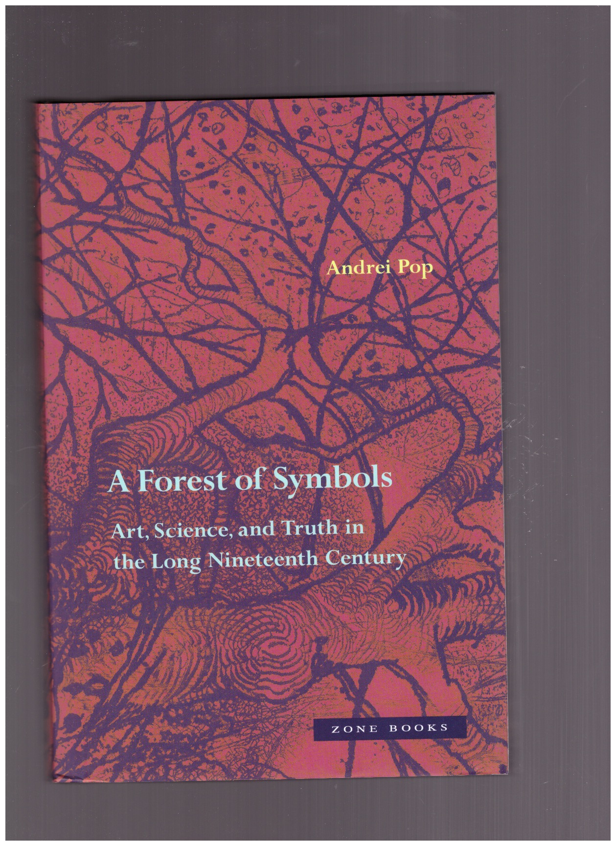 the forest of symbols aspects of ndembu ritual