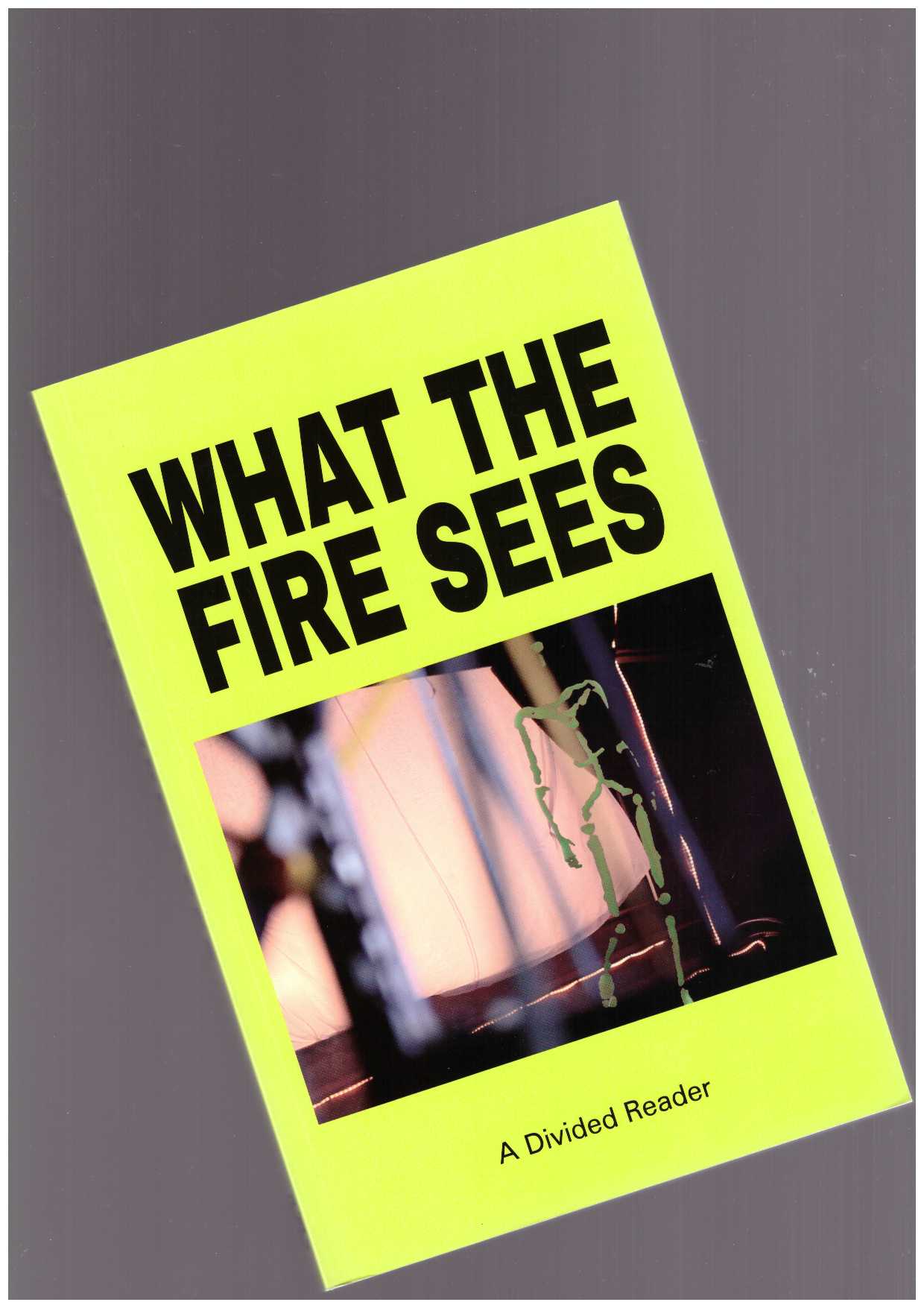 WEBER, Eleanor; WILLS, Camilla (eds.) - What the Fire Sees