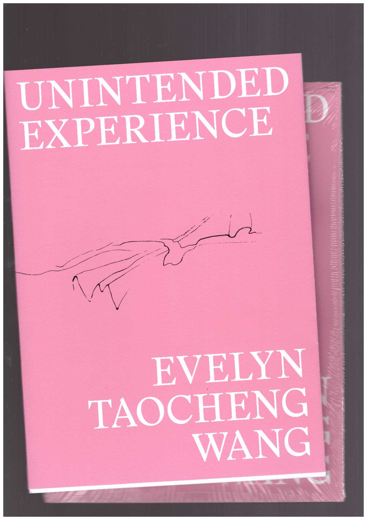 WANG, Evelyn Taocheng - Unintended Experience. A Job in Amsterdam (reprint)