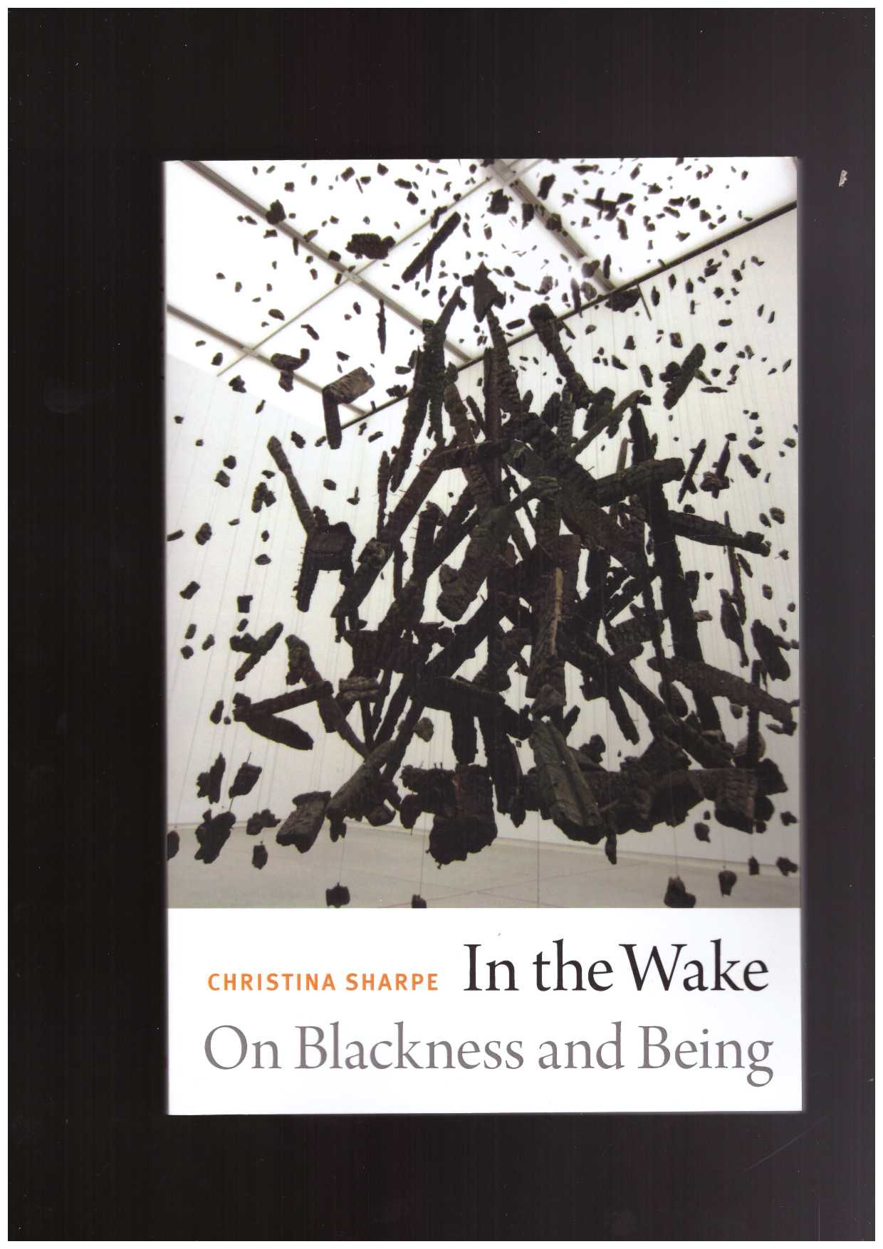 SHARPE, Christina  - In the Wake. On Blackness and Being