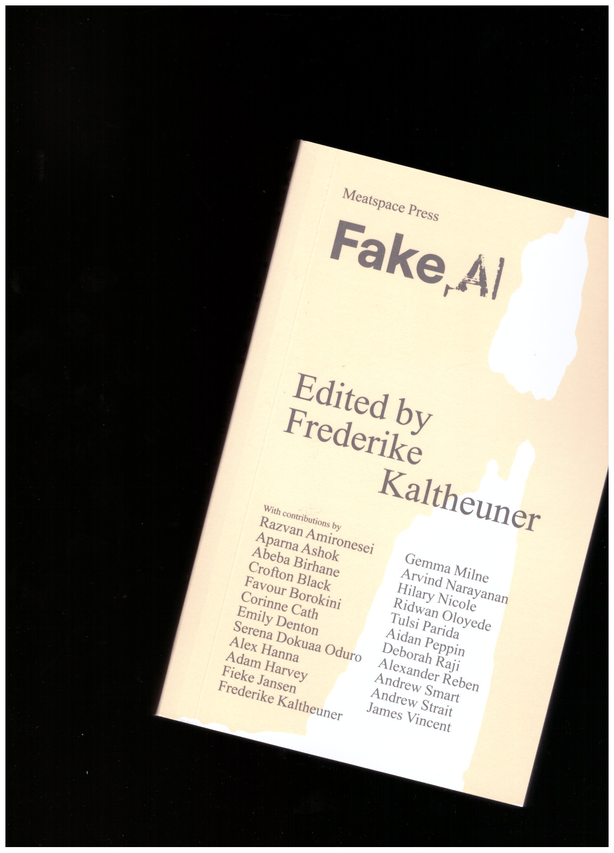 KALTHEUNER, Frederike (ed.) - Fake AI