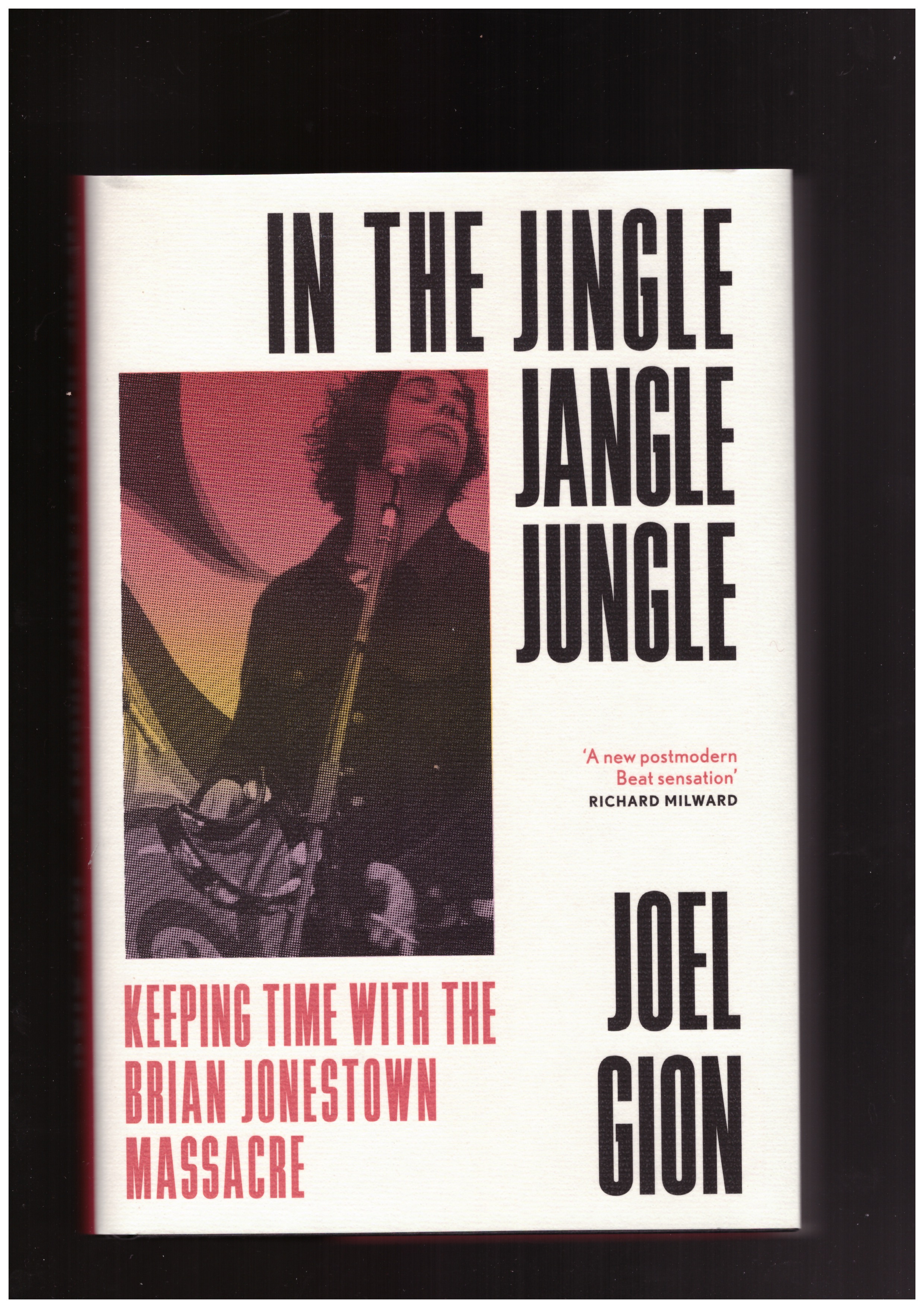 GION, Joel - In the Jingle Jangle Jungle