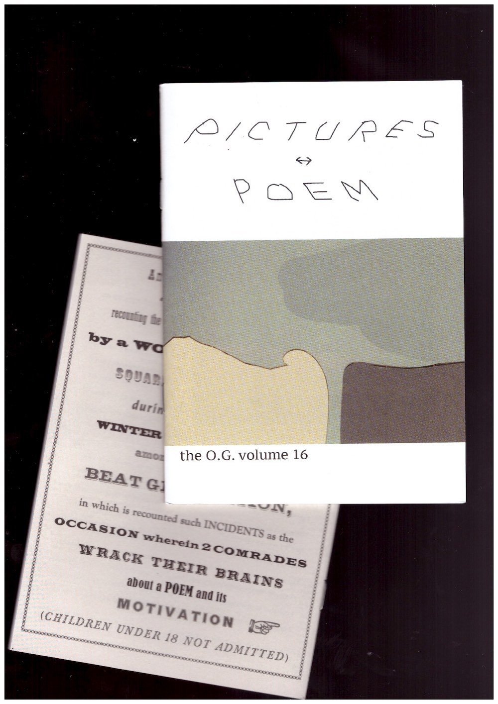 SILLMAN, Amy; HULSEY, John - The O.G. Vol. 16 : Pictures ↔︎ Poem