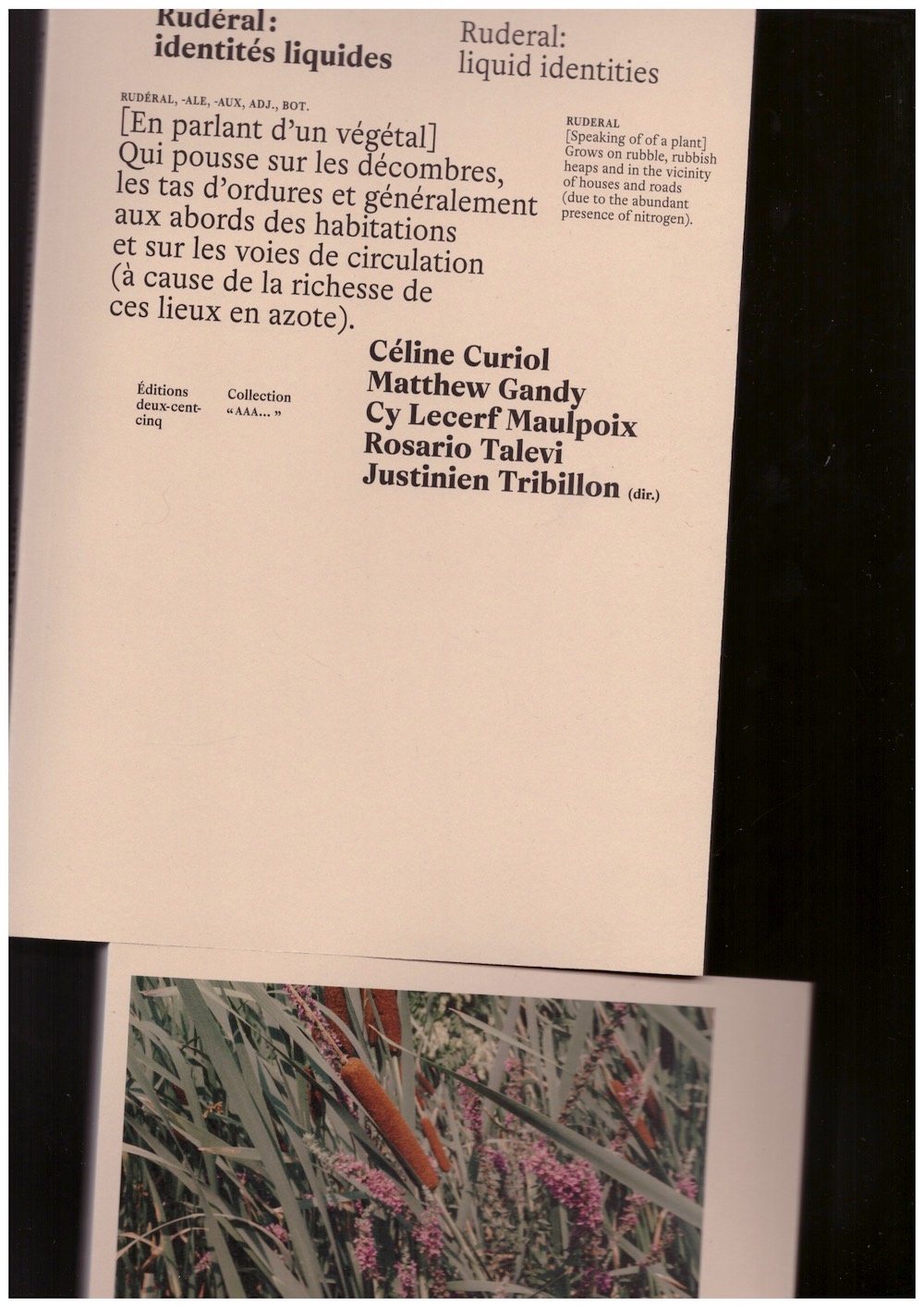 TRIBILLON, Justinien (ed.) - Rudéral: identités liquides / liquid identities