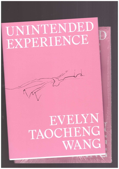 WANG, Evelyn Taocheng - Unintended Experience. A job in Amsterdam (reprint) ()