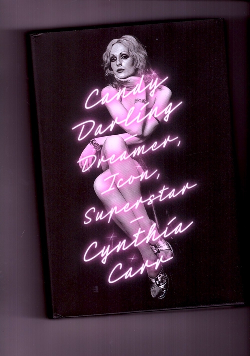 CARR, Cynthia - Candy Darling. Dreamer, Icon, Superstar (Farrar Straus & Giroux)