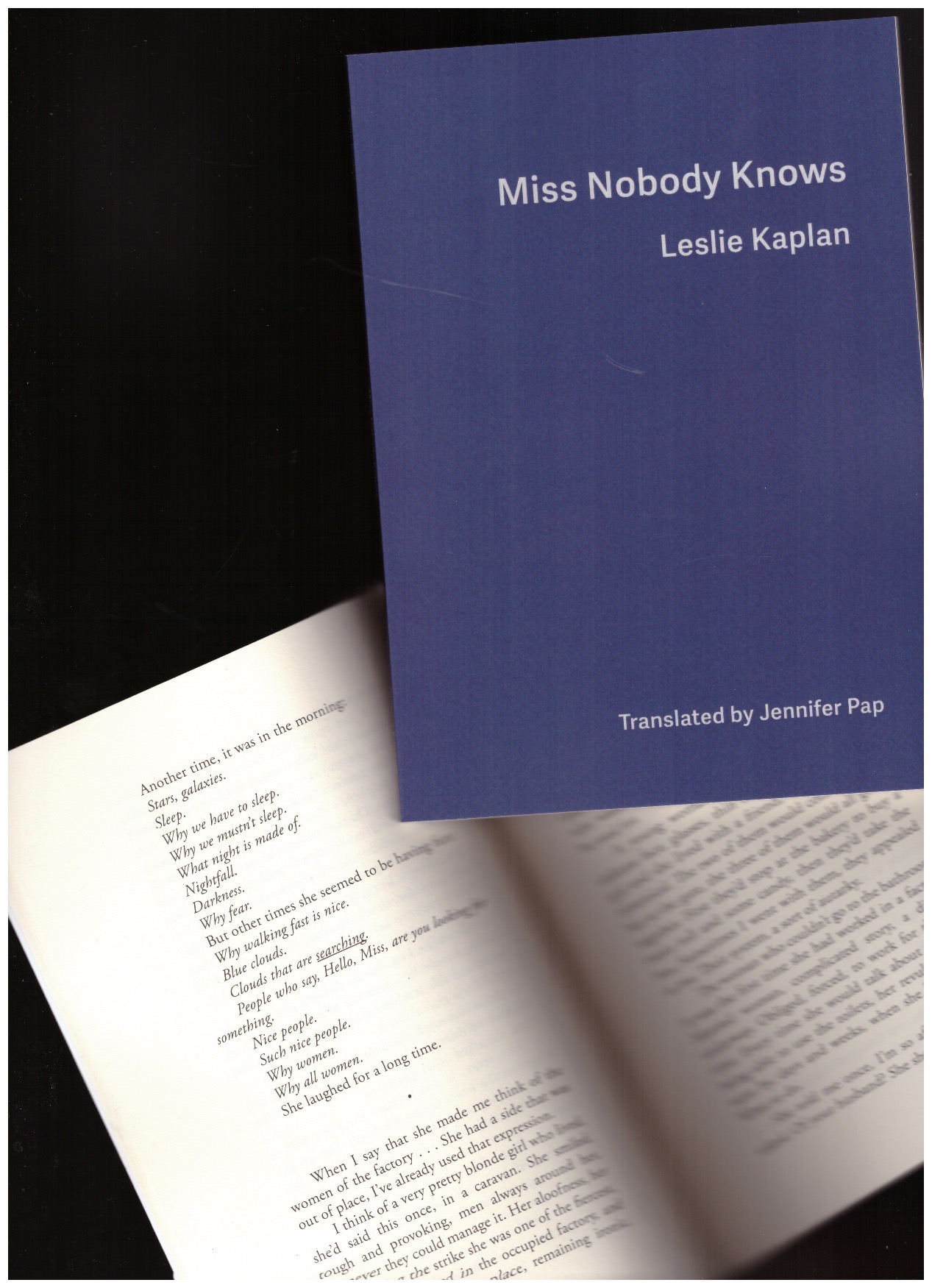  - launch : The Book of Skies & Miss Nobody Knows by Leslie Kaplan