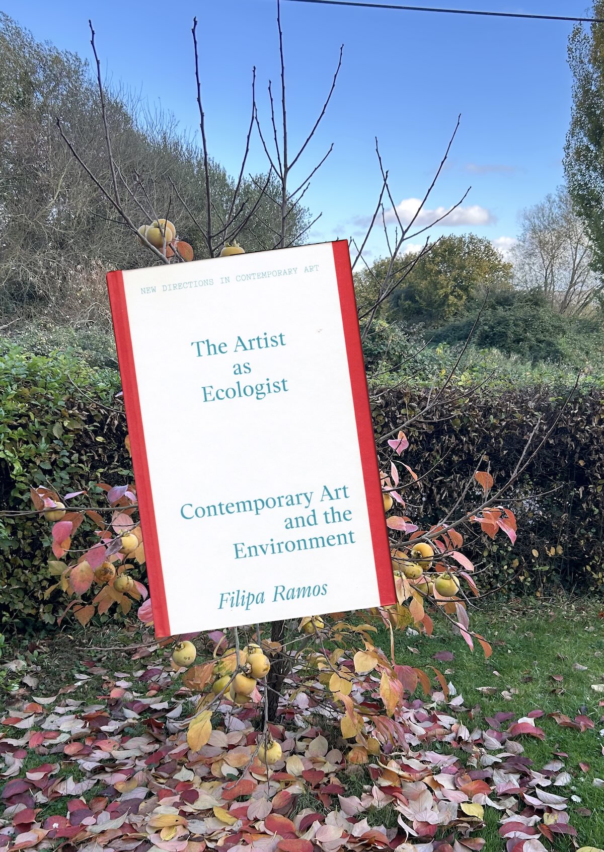  - The Artist as Ecologist / Rencontre avec Filipa Ramos
