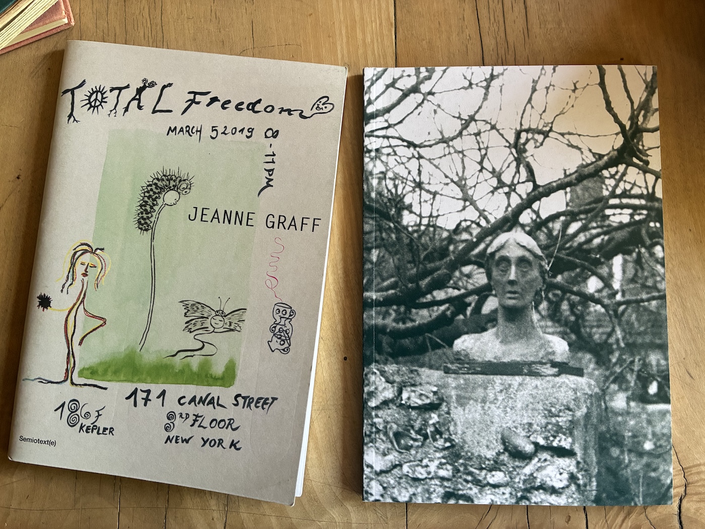  - On Virginia Woolf: Sylvère Lotringer’s Interviews & Total Freedom – with Jeanne Graff and Constance Debré