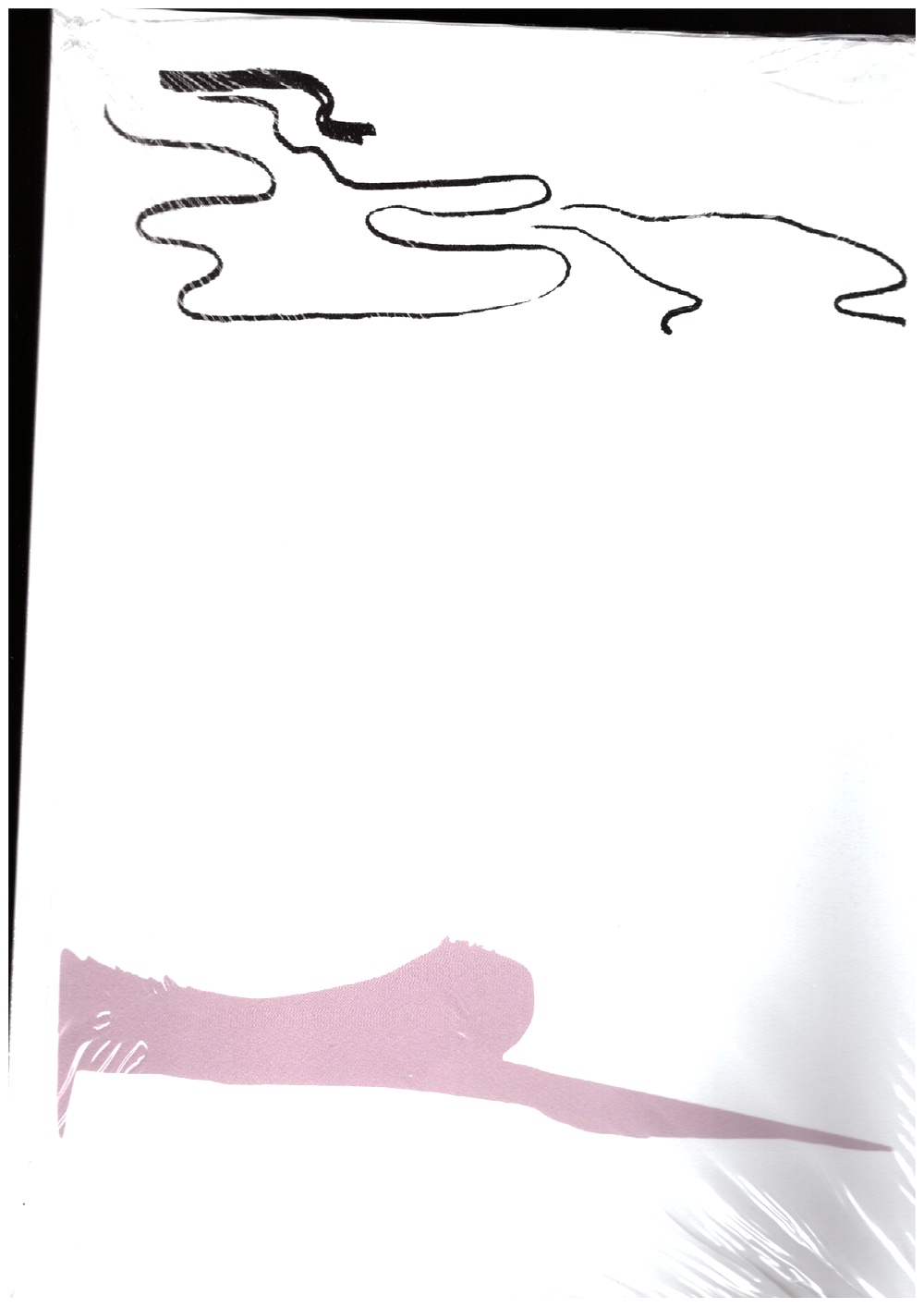 DIDŽIAPETRIS, Gintaras; LEVI, Renee; NASHASHIBI, Rosalind - Sudoku