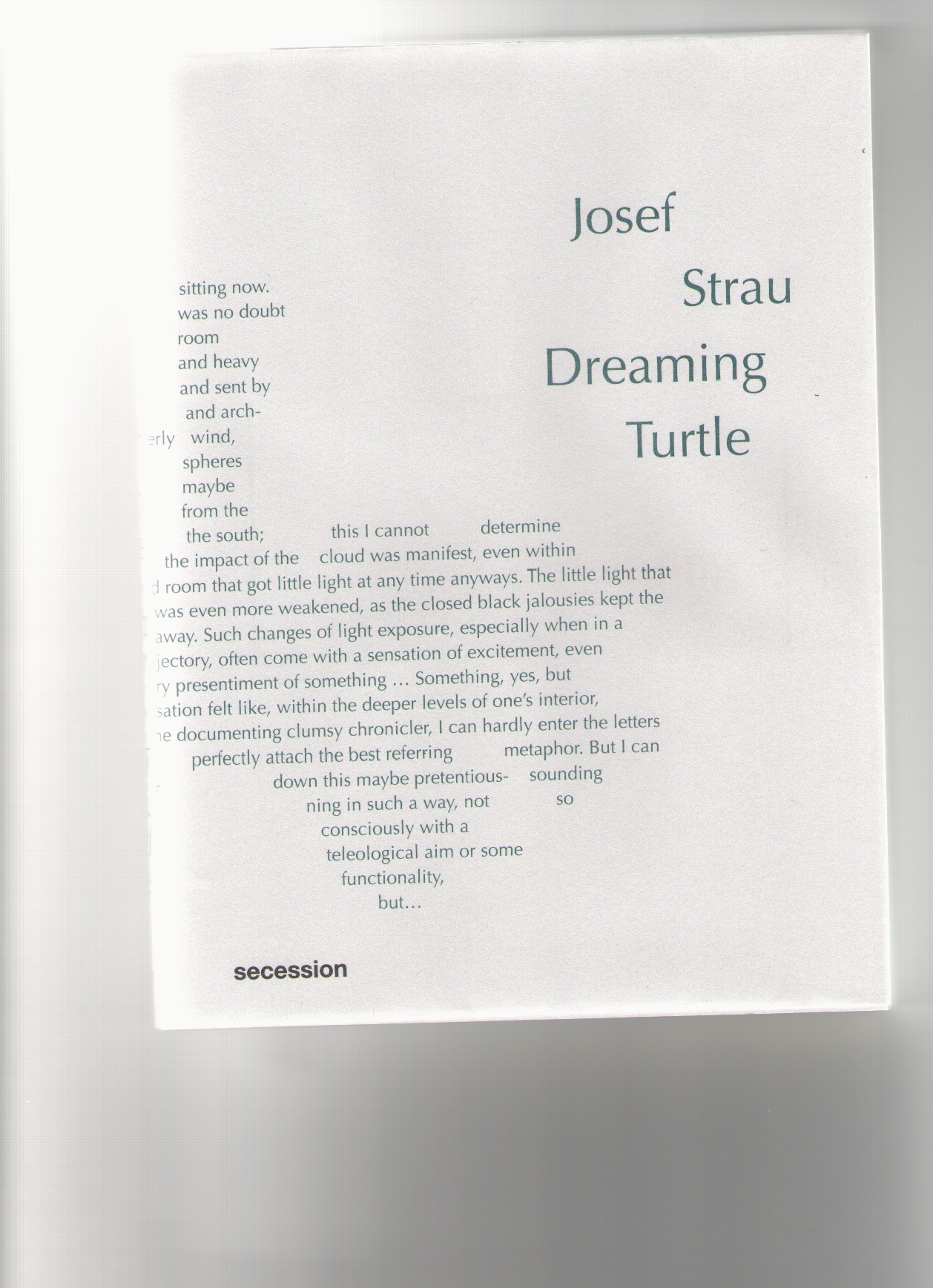 STRAU, Joseph - Dreaming Turtle