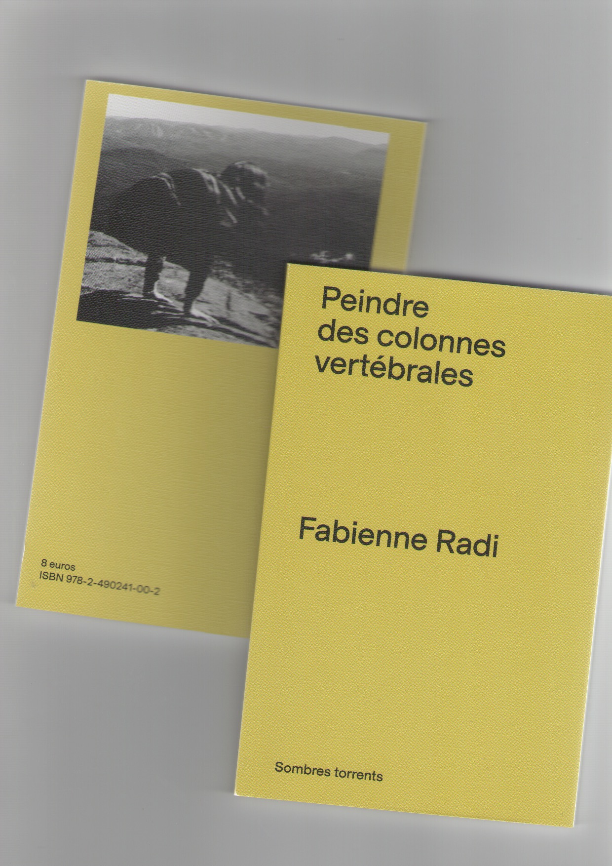 RADI, Fabienne - Peindre des colonnes vertébrales