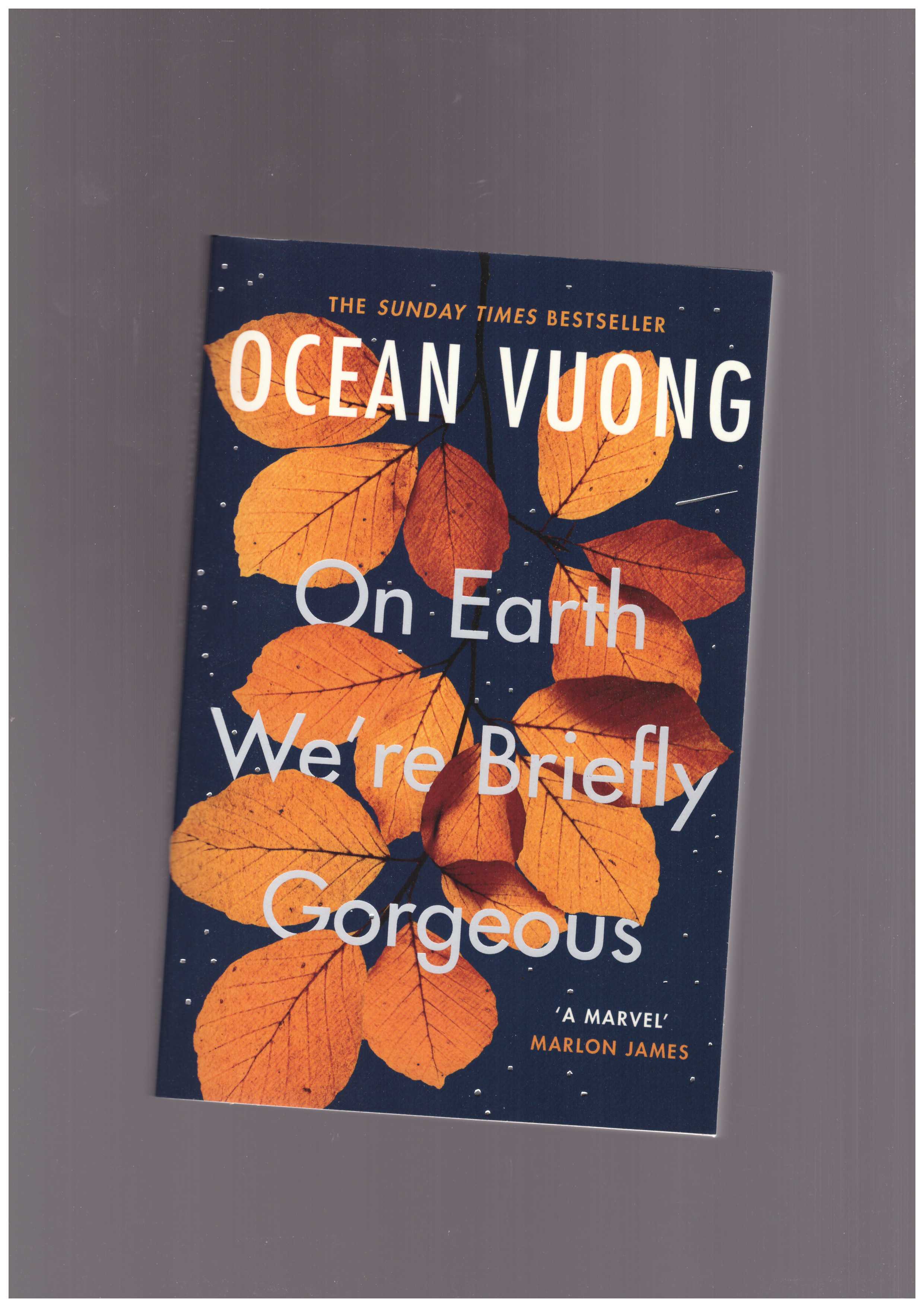 VUONG, Ocean - On Earth We’re Briefly Gorgeous