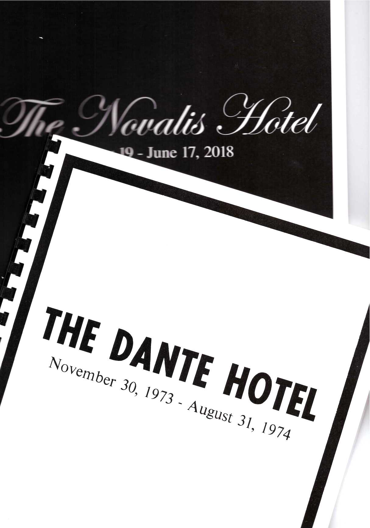 HERSHMAN LEESON, Lynn - The Dante Hotel / The Novalis Hotel