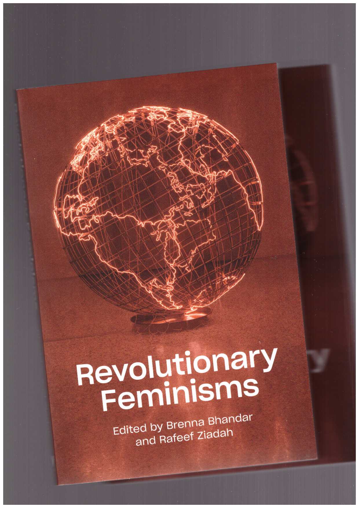 BHANDAR, Brenna ; ZIADAH, Rafeef (eds.) - Revolutionary Feminisms. Conversations on Collective Action and Radical Thought