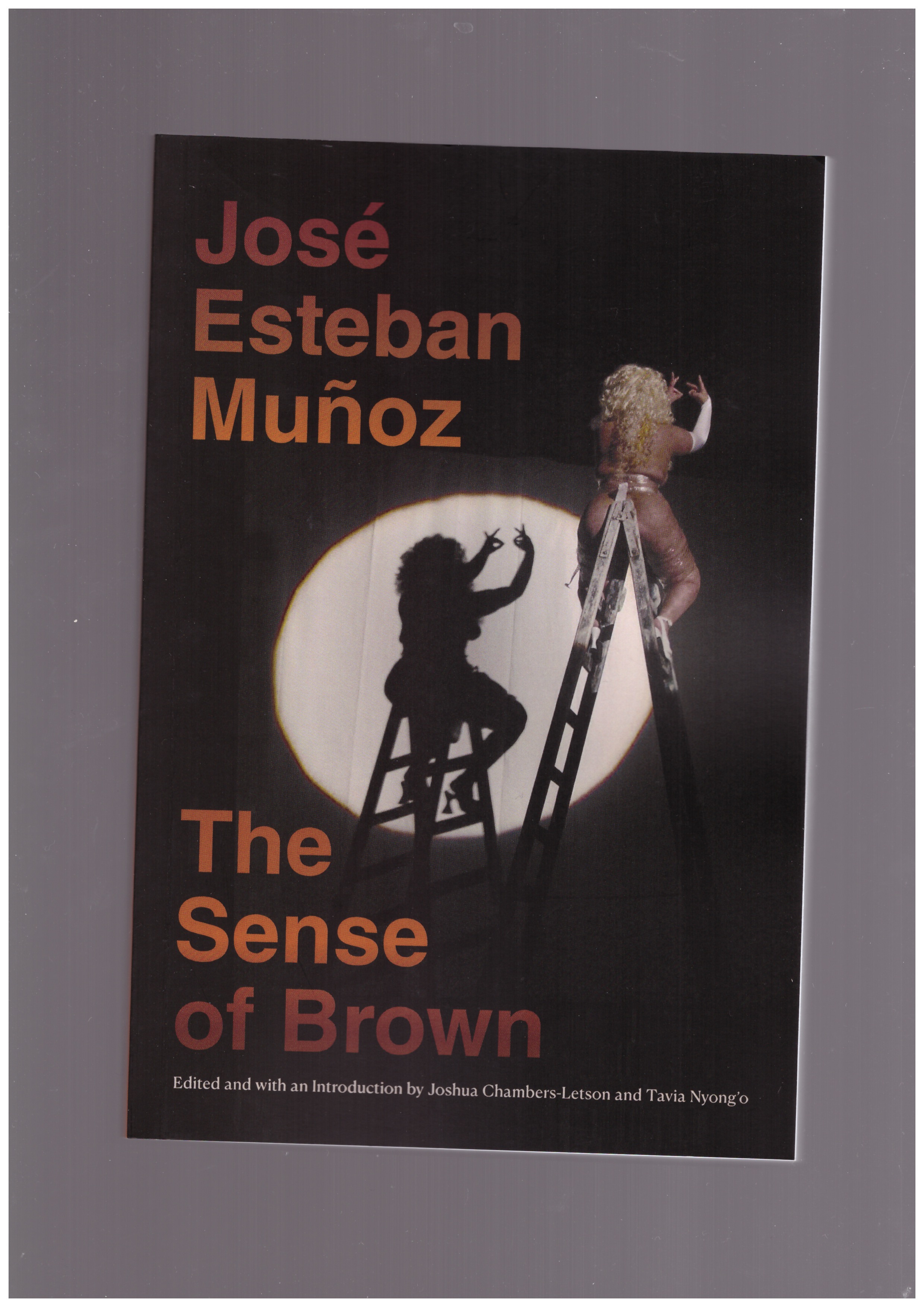 MUNOZ, José Esteban - The Sense of Brown