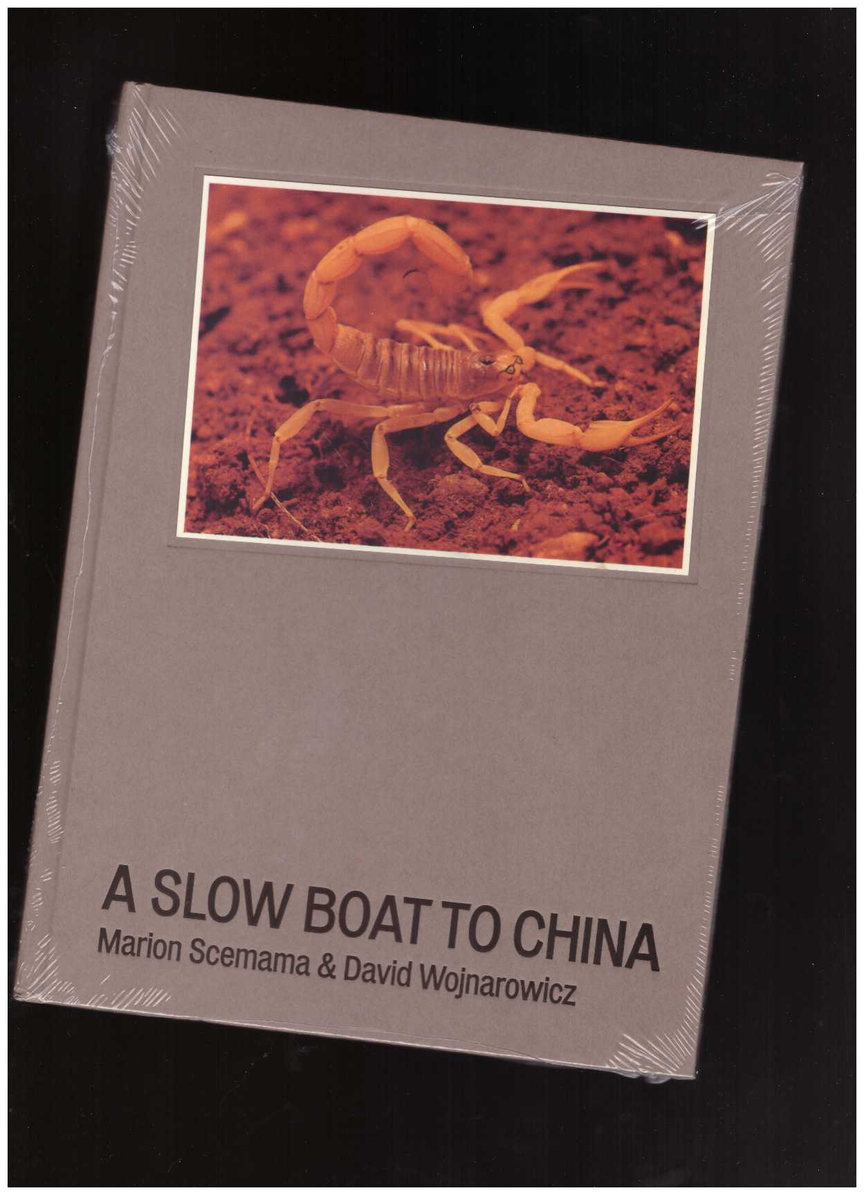 WOJNAROWICZ, David; SCEMAMA, Marion - A Slow Boat to China