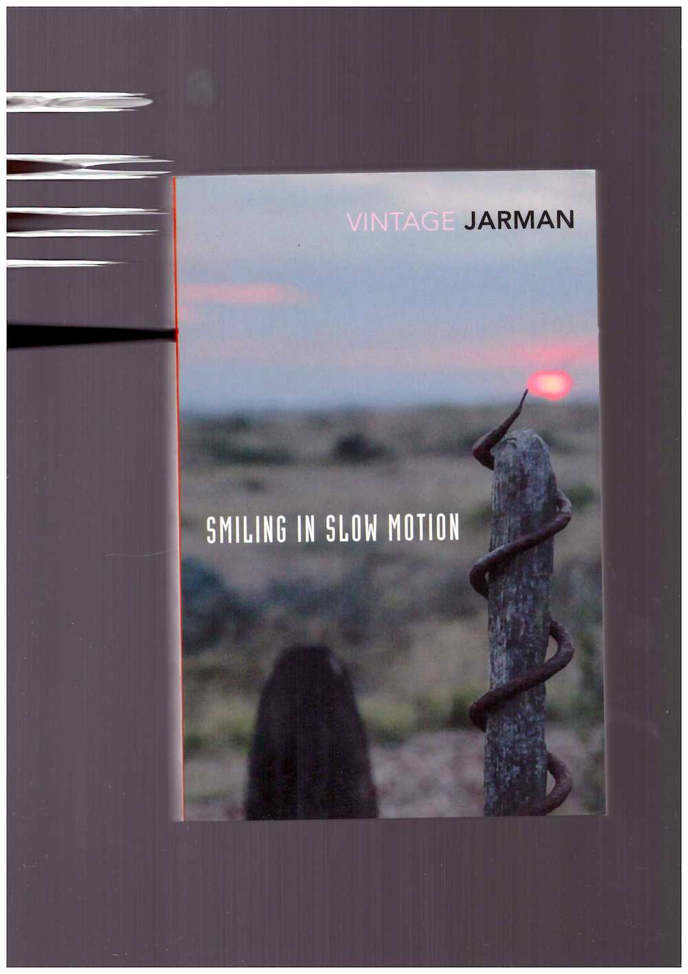 JARMAN, Derek - Smiling in Slow Motion. Journals, 1991–1994