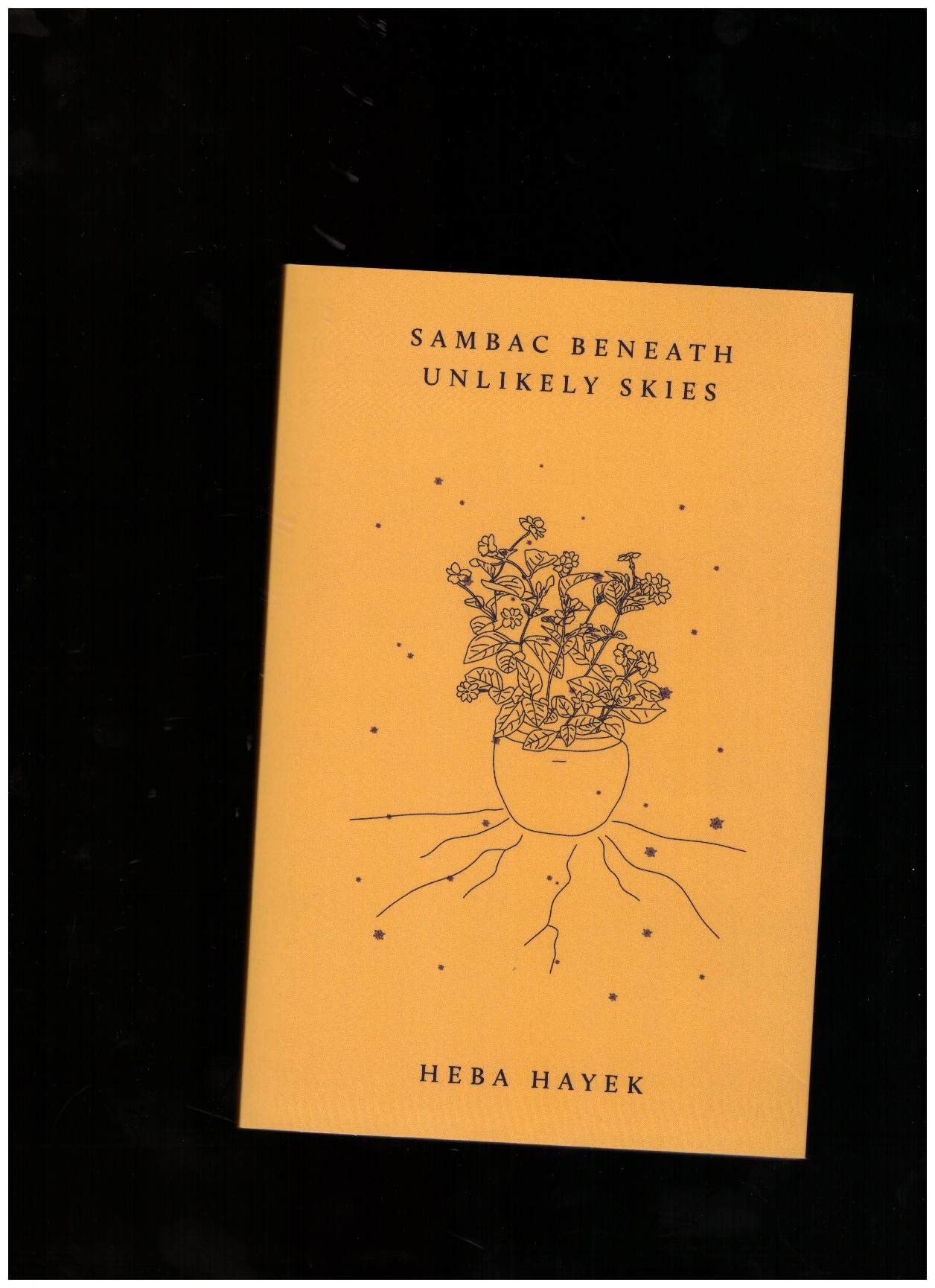 HAYEK, Heba - Sambac Beneath Unlikely Skies