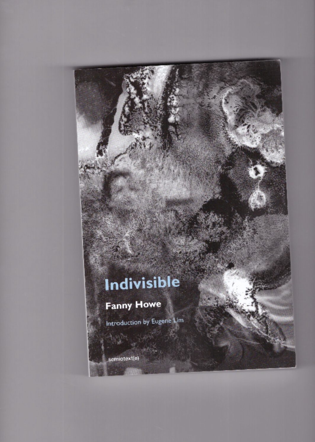 HOWE, Fanny - Indivisible (New Edition)