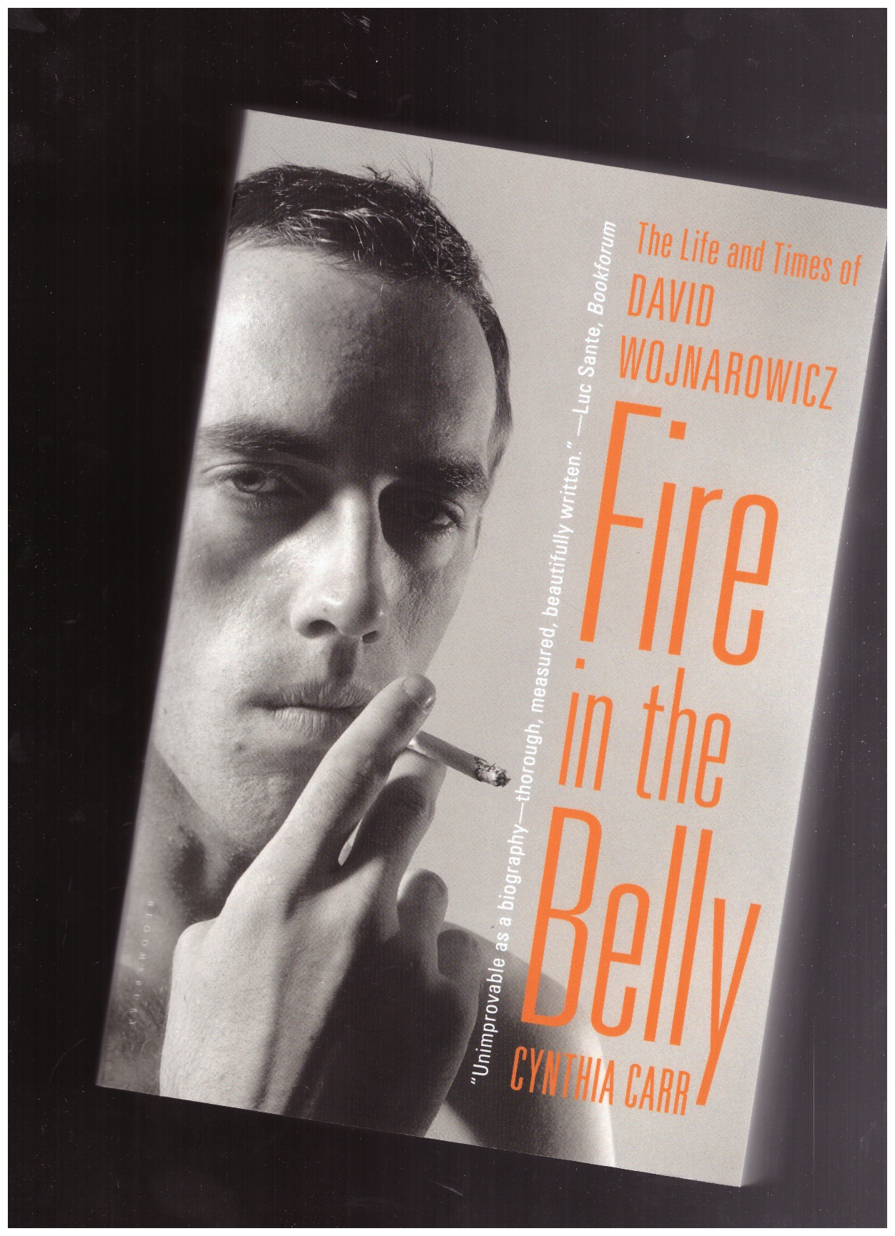 CARR, Cynthia - Fire in the Belly. The Life and Times of David Wojnarowicz