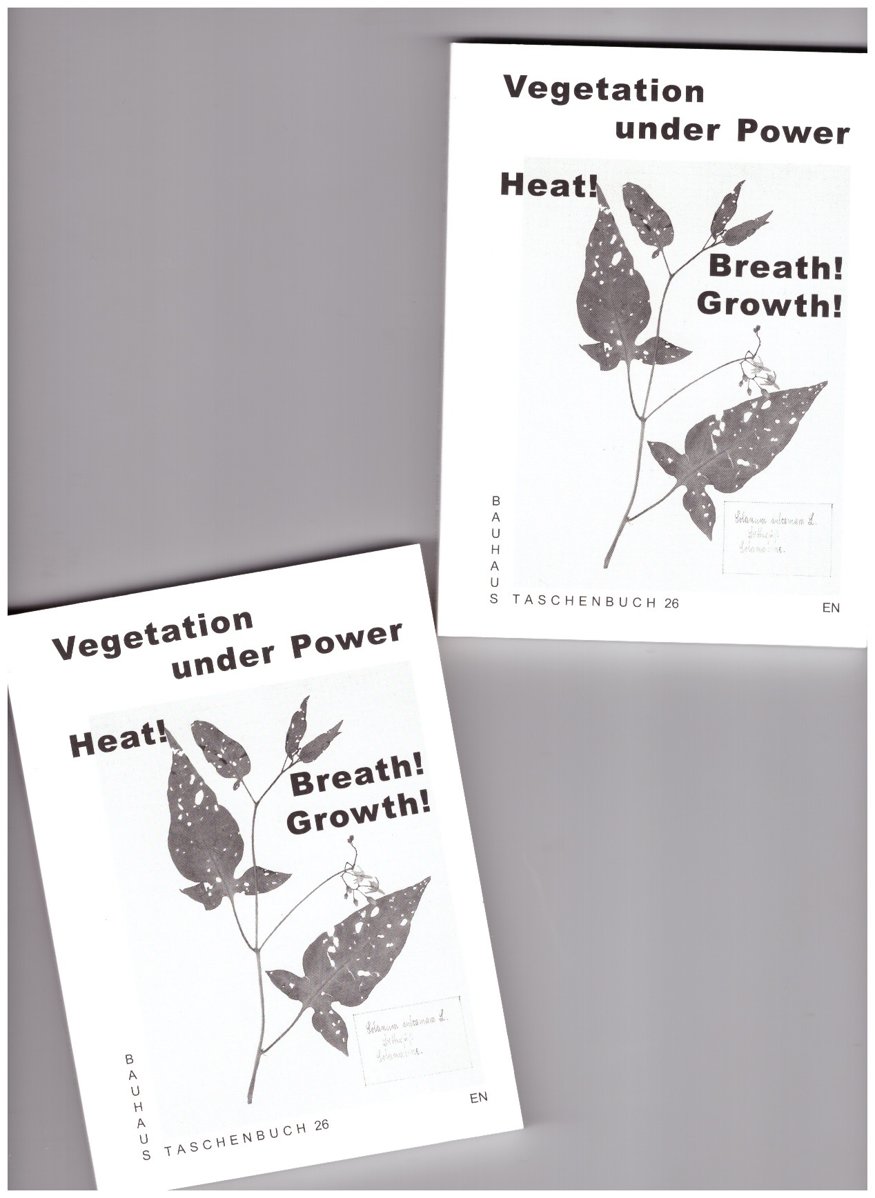 ERRÁZURIR, Maya; RATTALINO, Elisabetta; SHEDDE, Shivani (eds.) - Bauhaus Taschenbuch #26 Vegetation under Power: Heat! Breath! Growth!