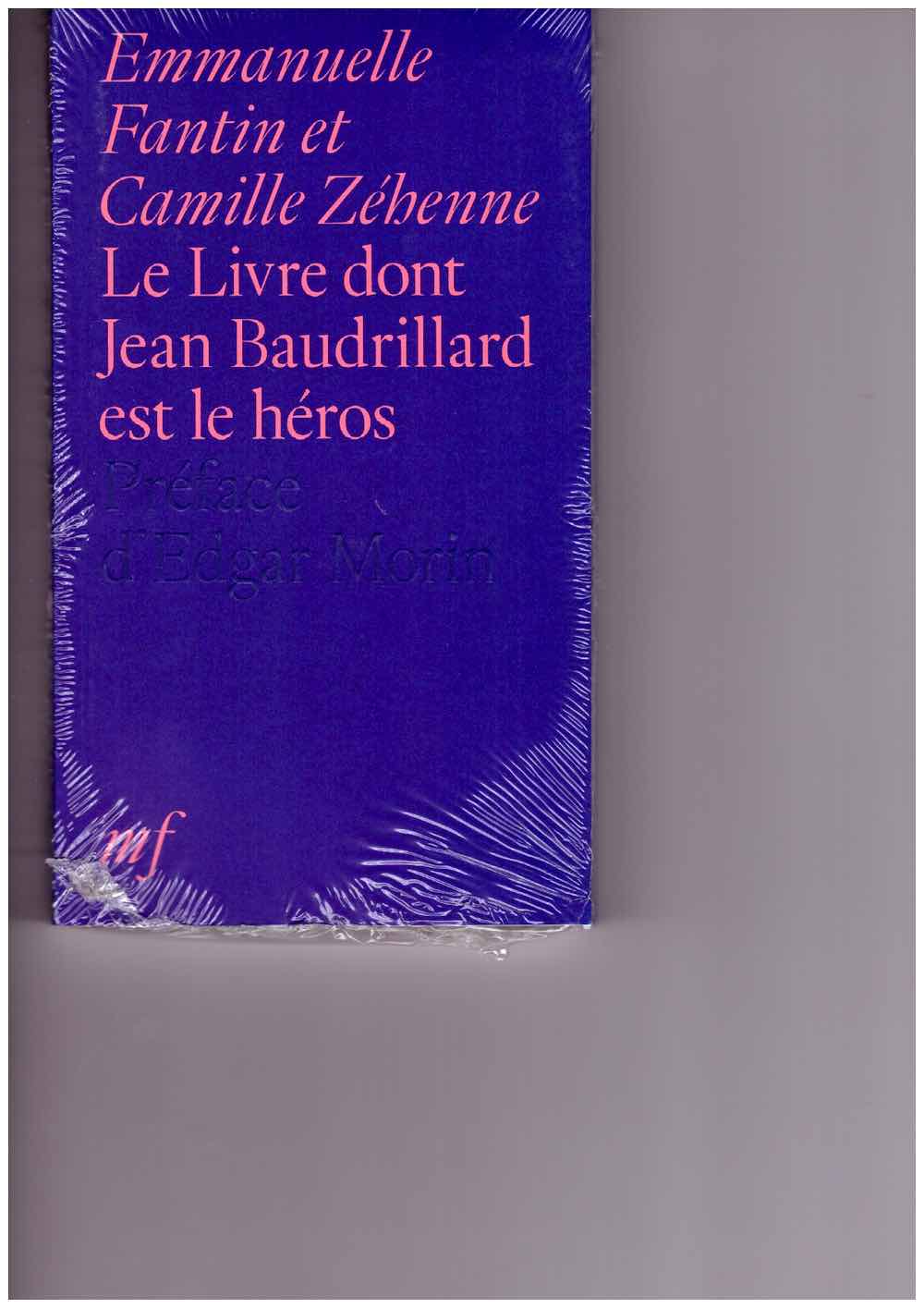 FANTIN, Emmanuelle; ZÉHENNE, Camille - Le Livre dont Jean Baudrillard est le héros