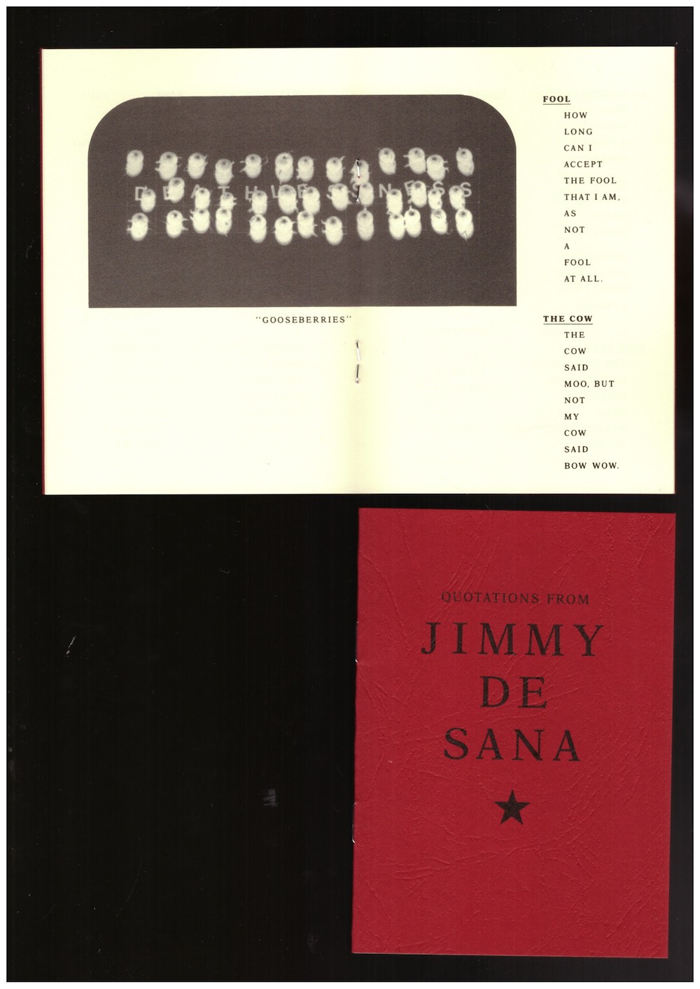 DESANA, Jimmy - Quotations from Jimmy DeSana