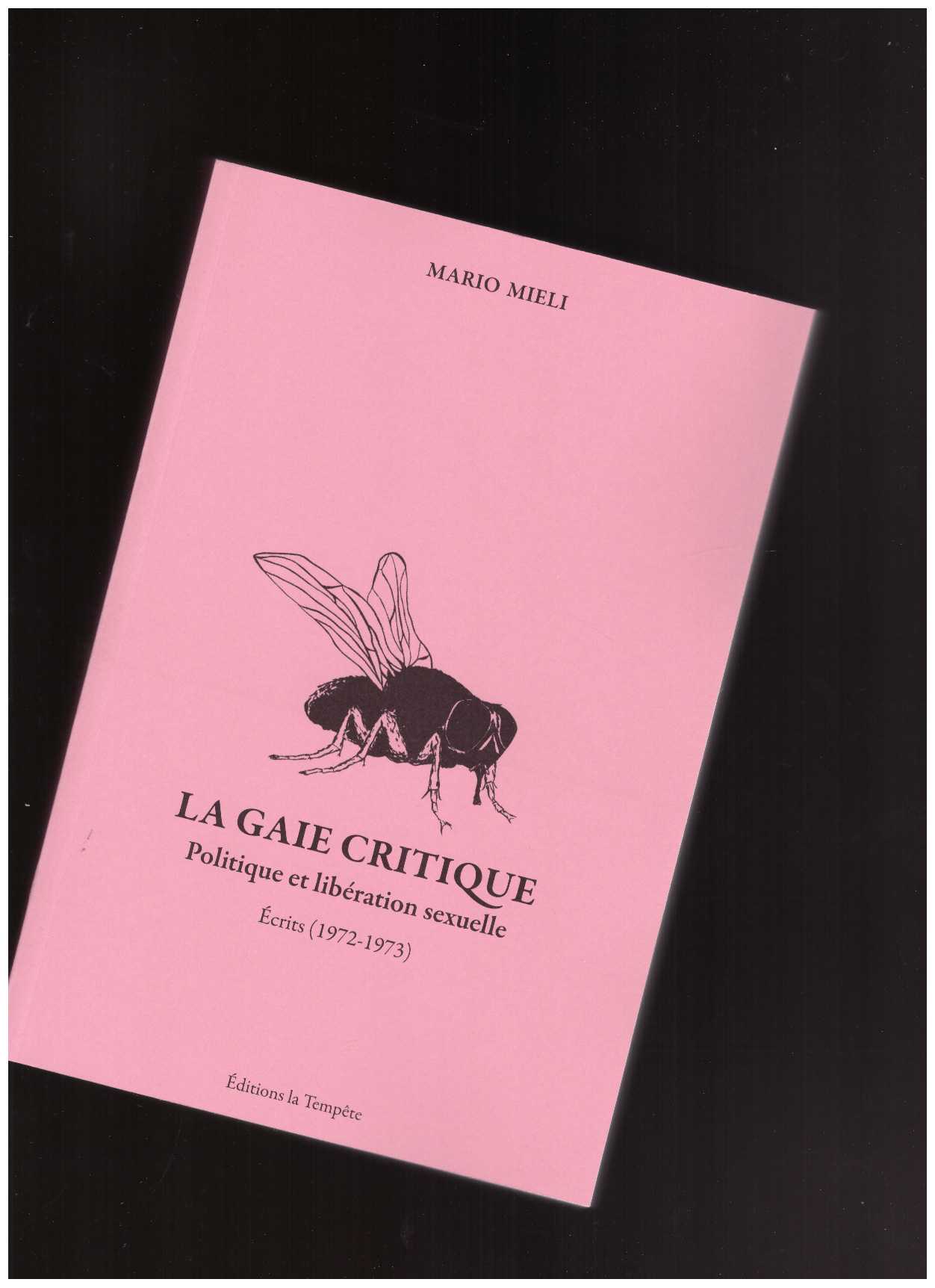 MIELI, Mario - La gaie critique. Politique et libération sexuelle dans les années soixante-dix. Ecrits (1972-1983)