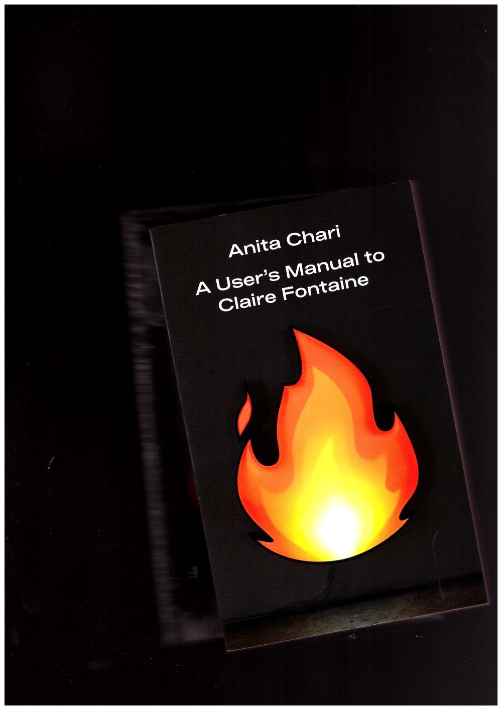 CHARI, Anita - A User’s Manual to Claire Fontaine