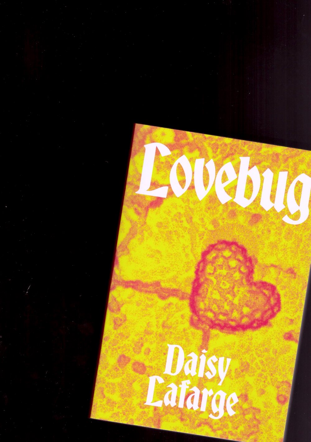 LAFARGE, Daisy - Lovebug