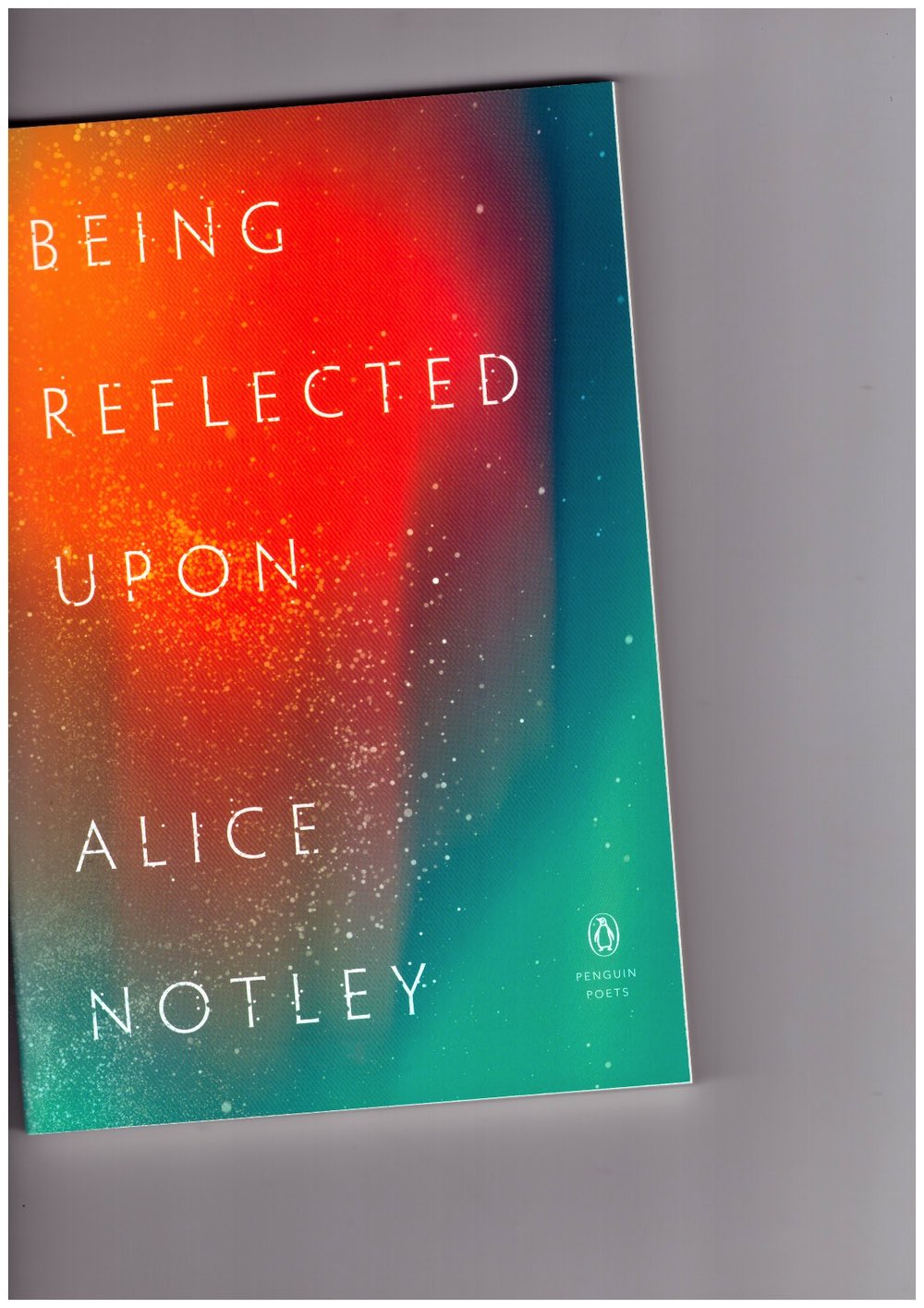 NOTLEY, Alice - Being Reflected Upon