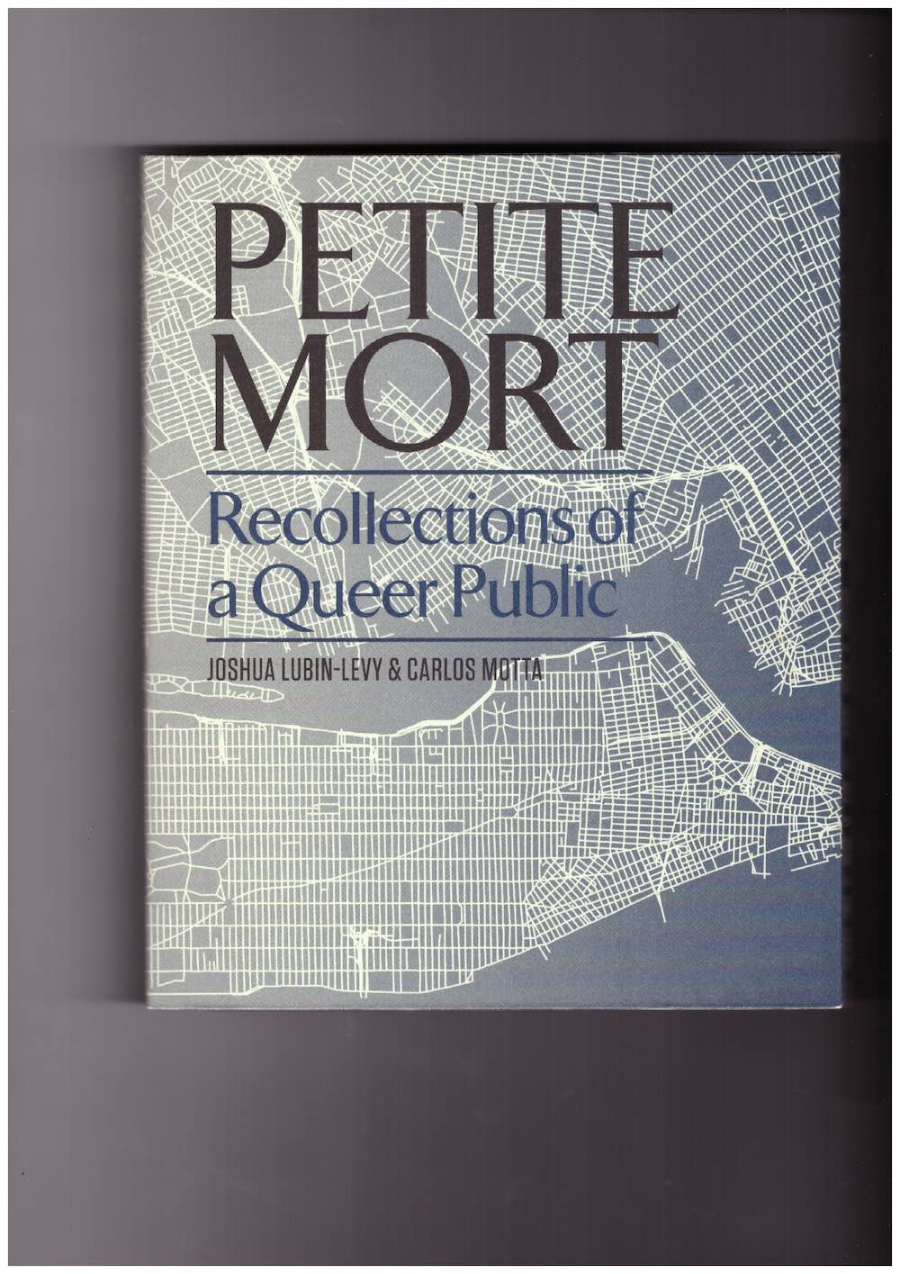 LUBIN-LEVY, Joshua; MOTTA, Carlos (eds.) - Petite Mort: Recollections of a Queer Public