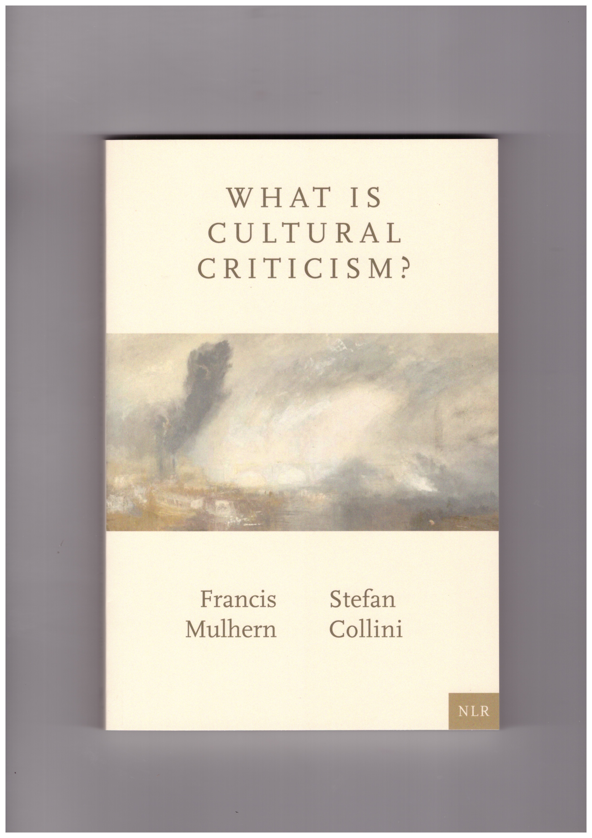 MULHERN, Francis; COLLINI, Stefan - What is cultural criticism?