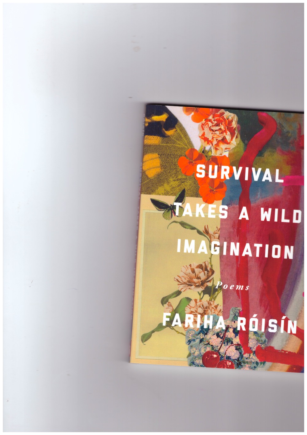 RÓISÍN, Fariha - Survival Takes a Wild Imagination