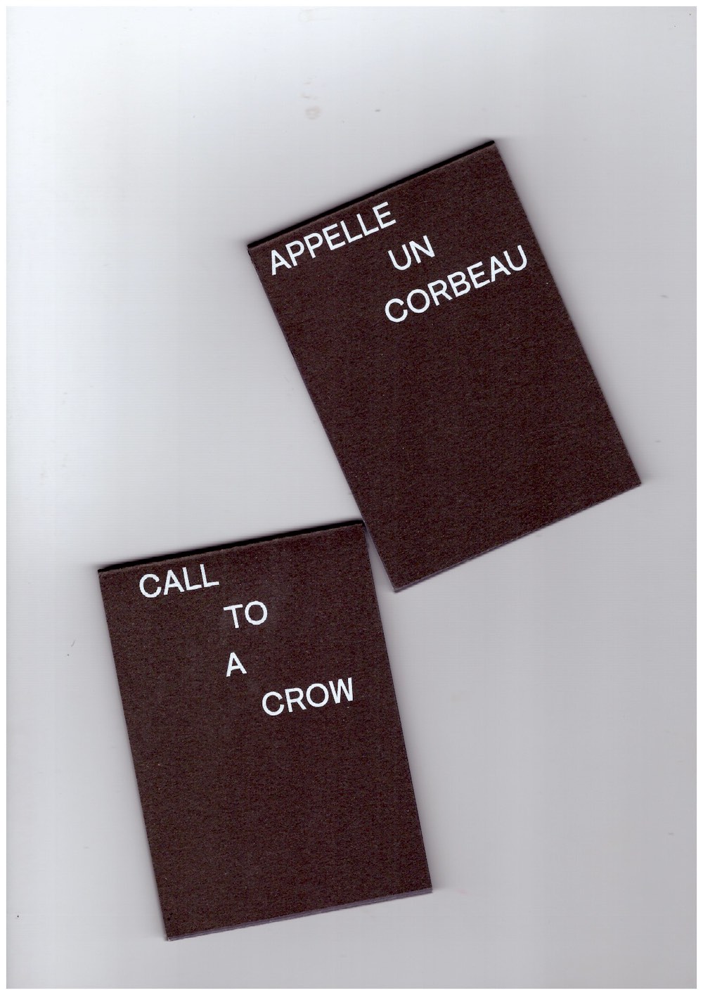 HORVITZ, David - Call To A Crow / Appelle un corbeau