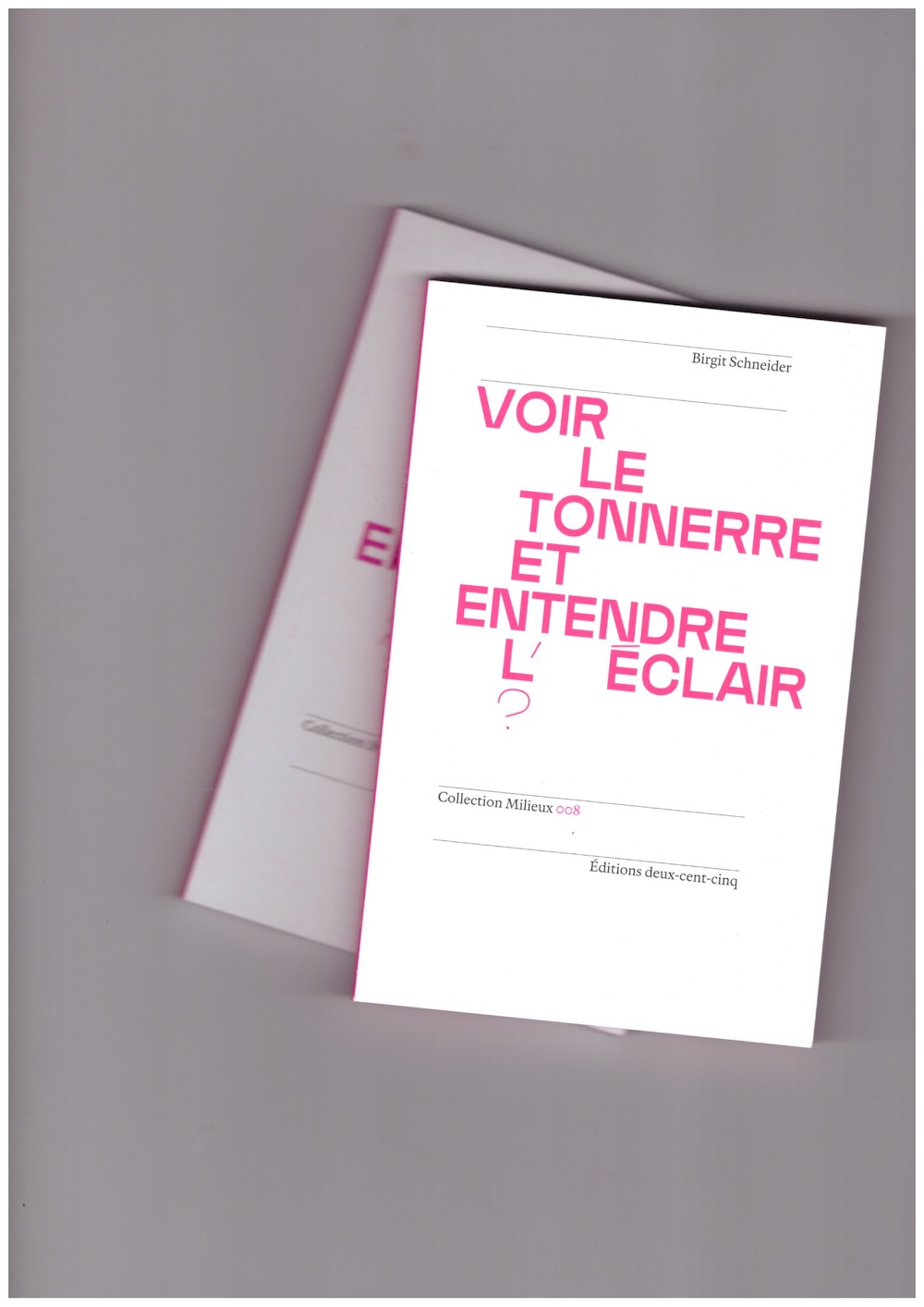 SCHNEIDER, Birgit - Voir le tonnerre et entendre l’éclair ?