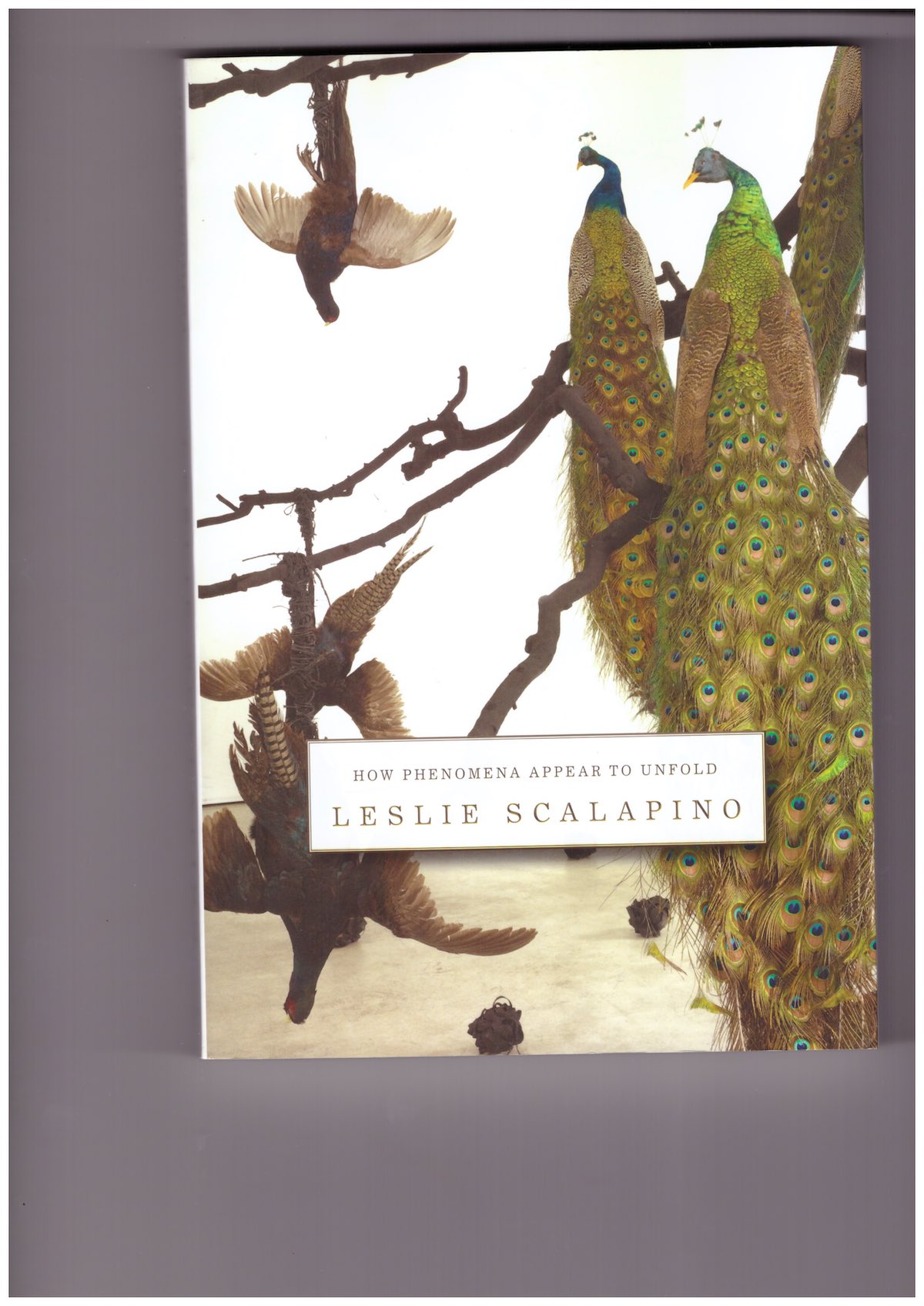 SCALAPINO, Leslie - How Phenomena Appear to Unfold