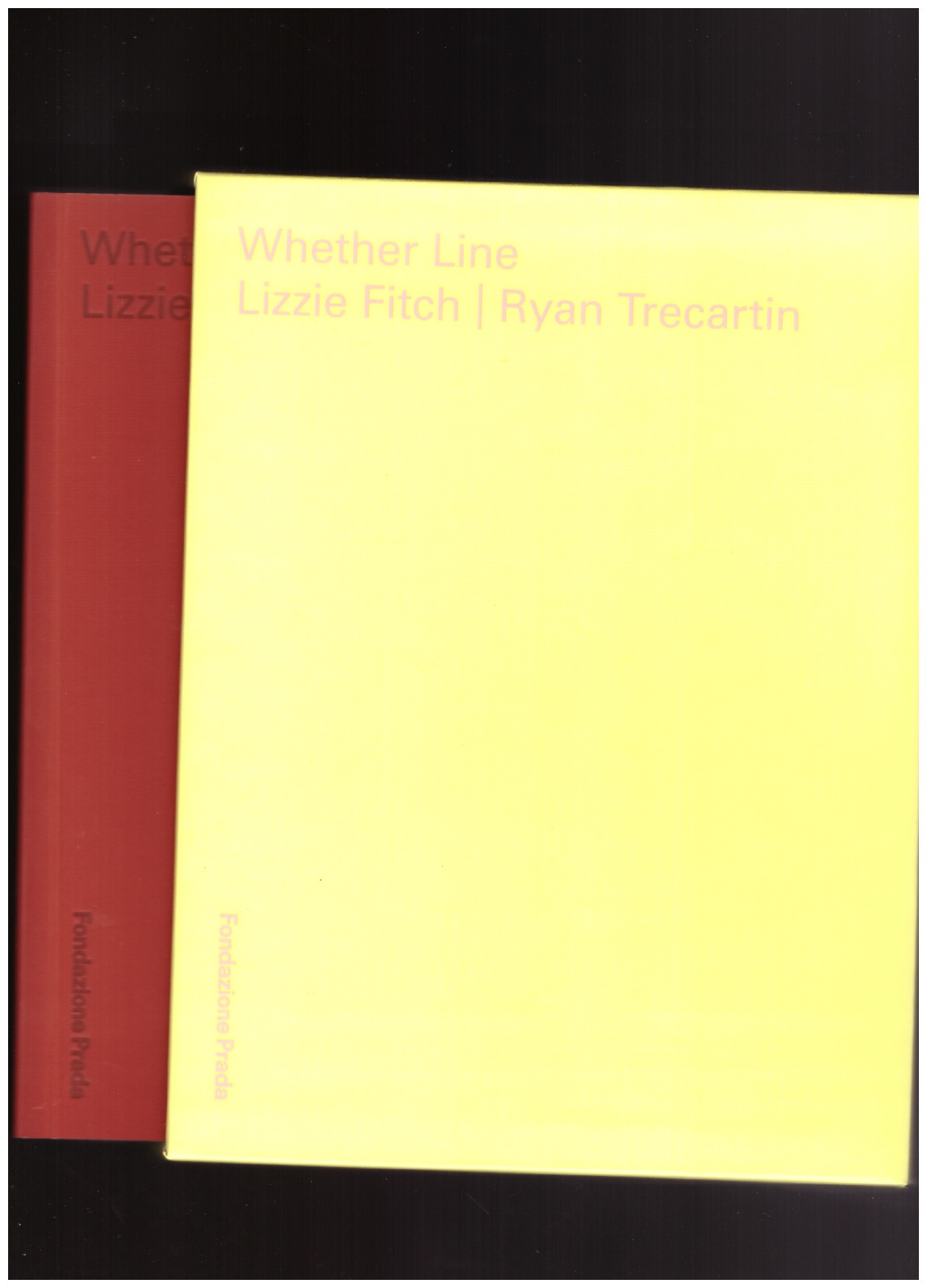 FITCH, Lizzie; TRECARTIN, Ryan; COSTA, Chiara (ed.) - Lizzie Fitch, Ryan Trecartin. Whether Line