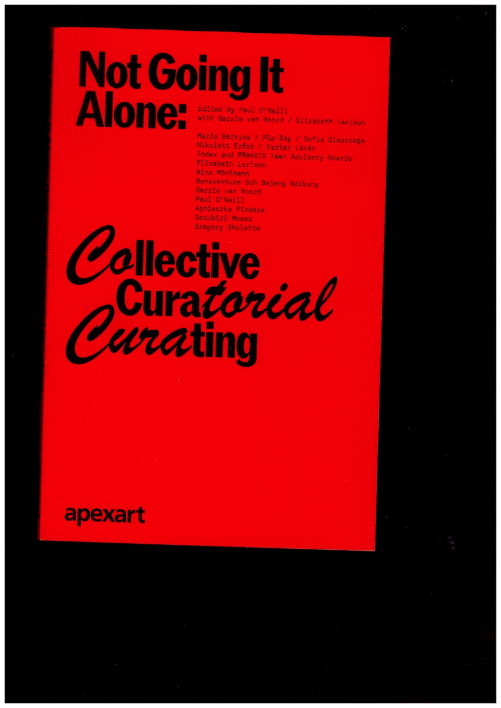 O’NEILL, Paul; VAN NOORD, Gerrie; LARISON, Elizabeth (eds.) - Not Going it Alone. Collective Curatorial Curating