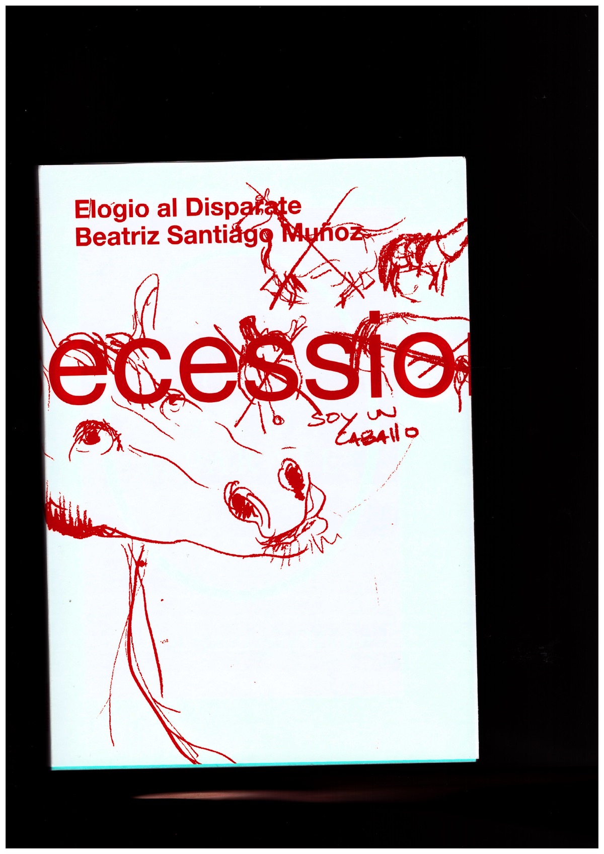 SANTIAGO MUÑOZ, Beatriz; SPÖRR, Bettina (ed.) - Beatriz Santiago Muñoz: Elogio al disparate