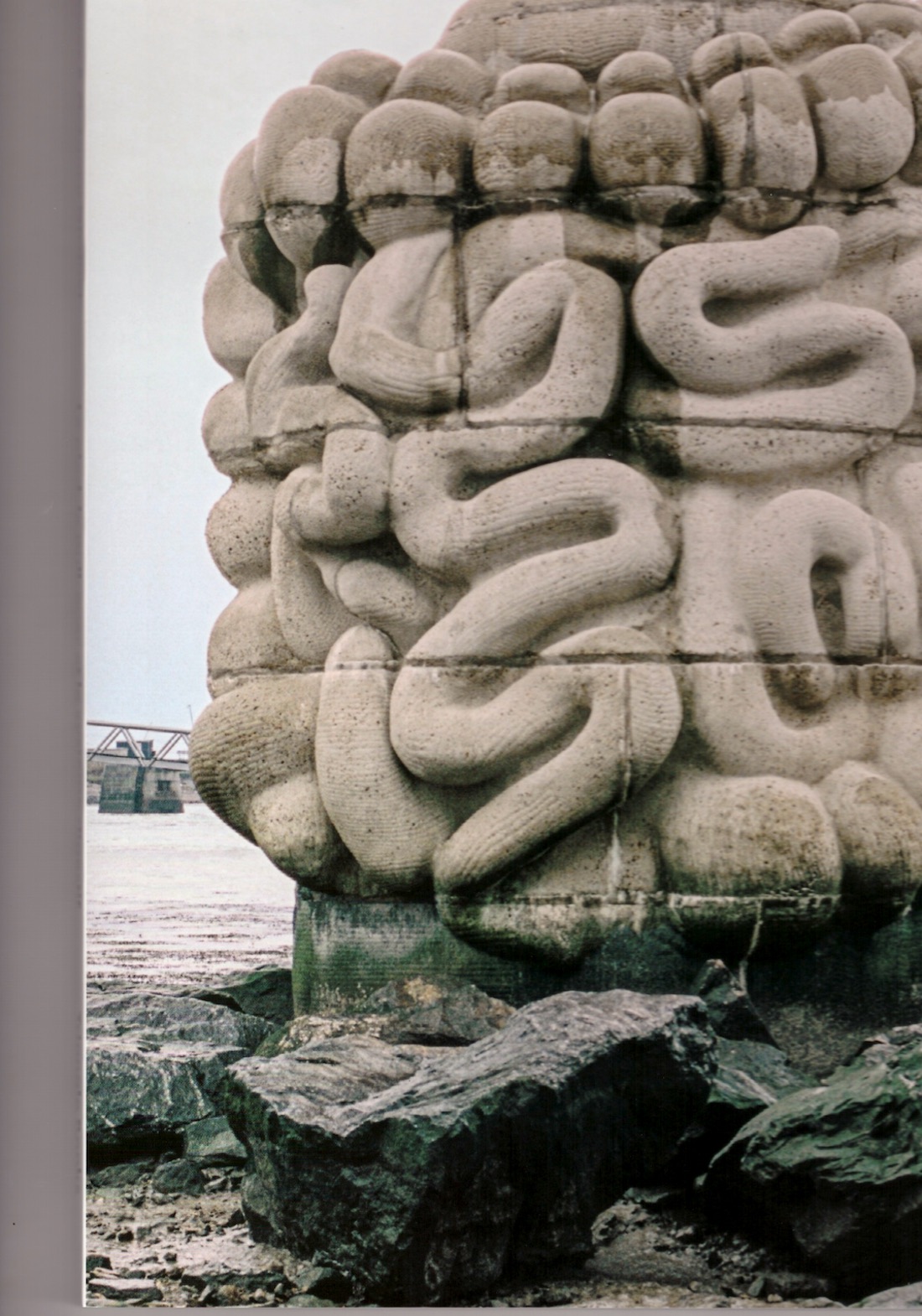 DEWAR, Daniel & GICQUEL, Grégory - Le pied, le pull-over et le système digestif