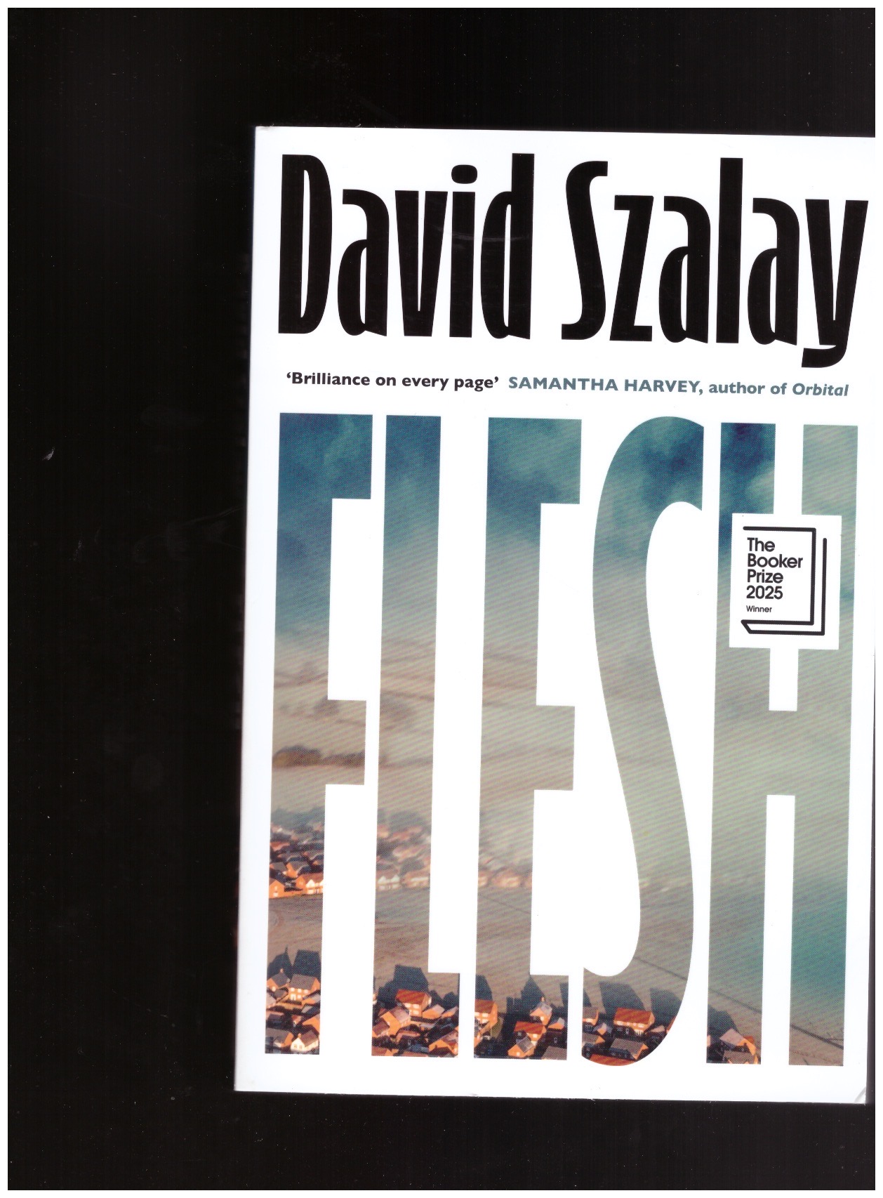 SZALAY, David - Flesh