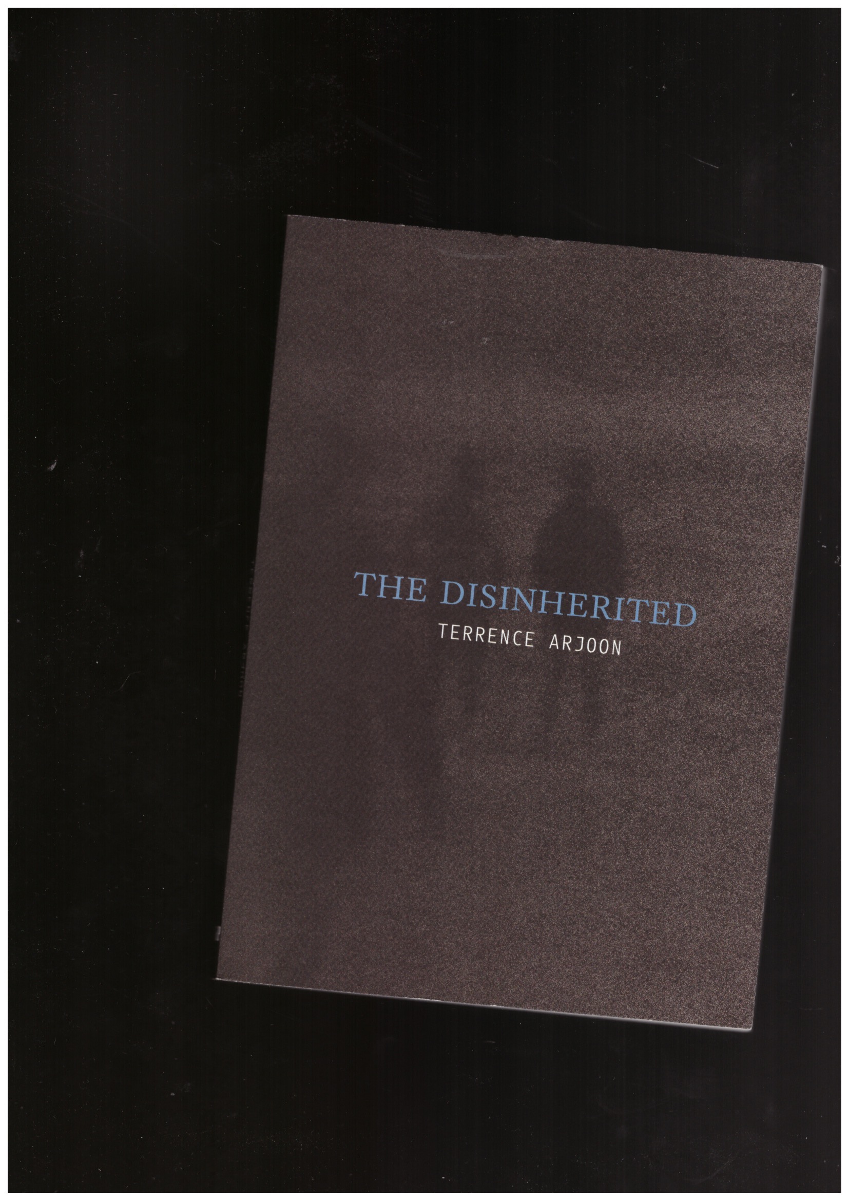 ARJOON, Terrence  - The Disinherited