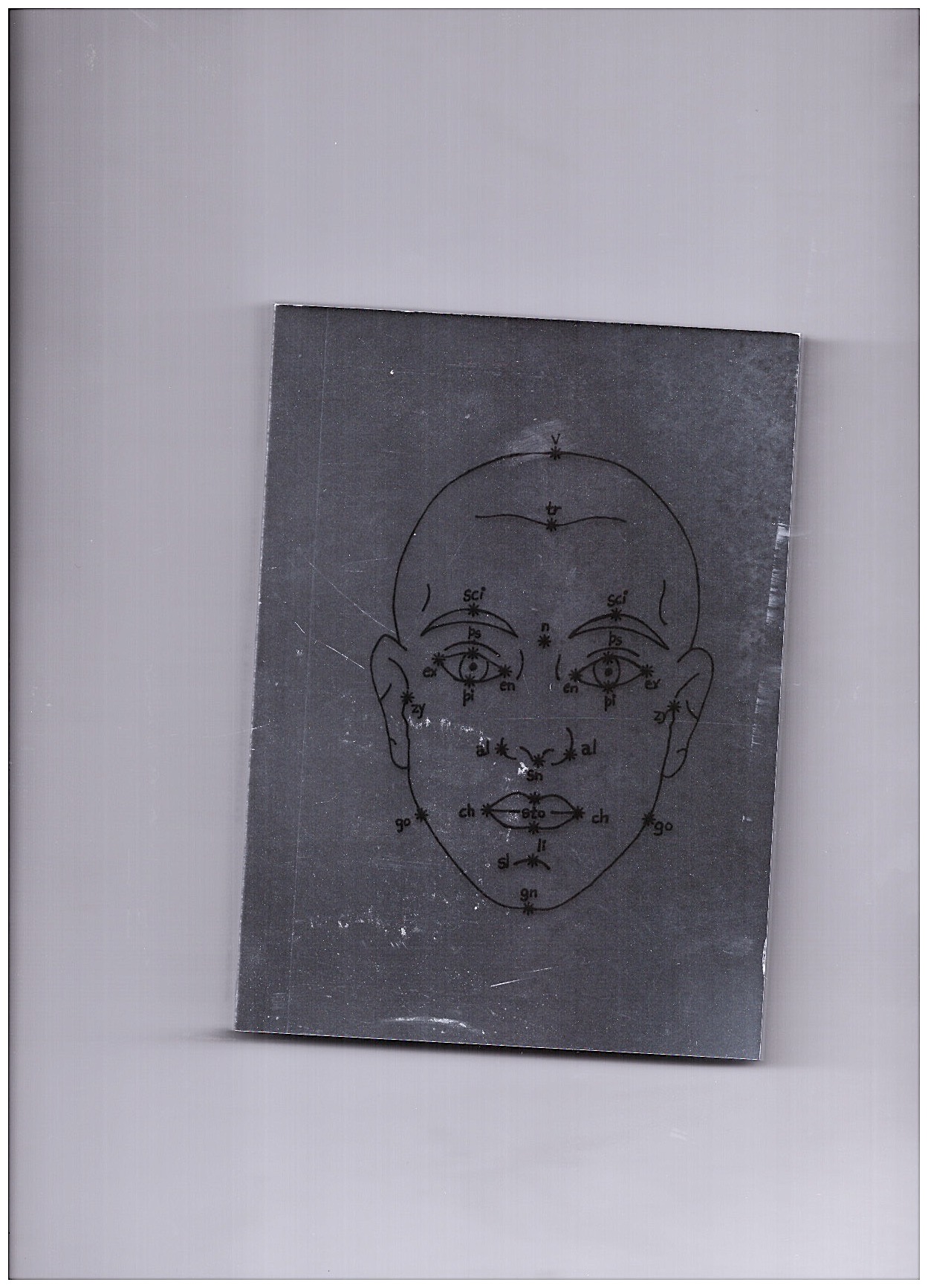 EPPLE, Veronika (ed) - Sheung Yiu. Inter(Faces) of Predictions