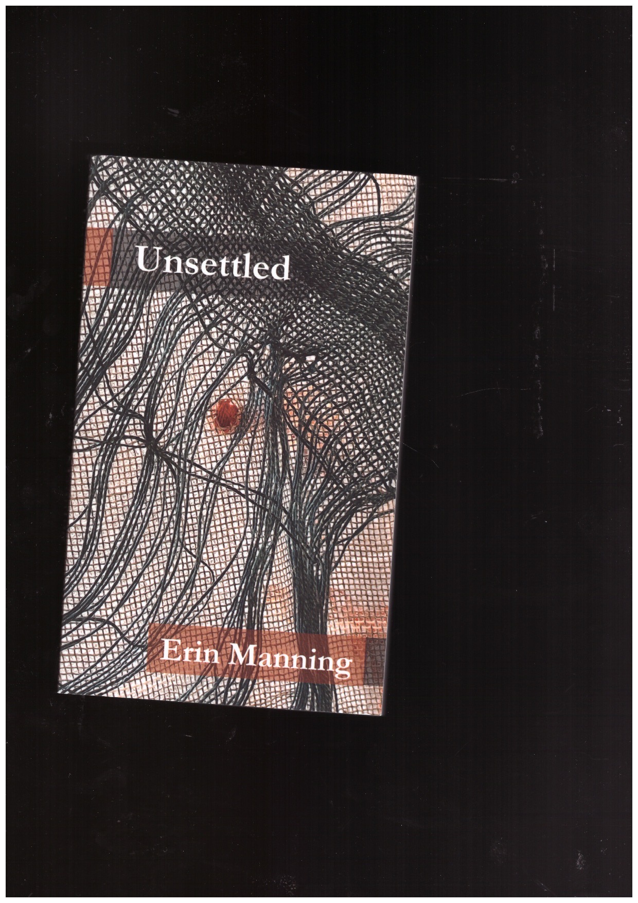 MANNING, Erin - Unsettled