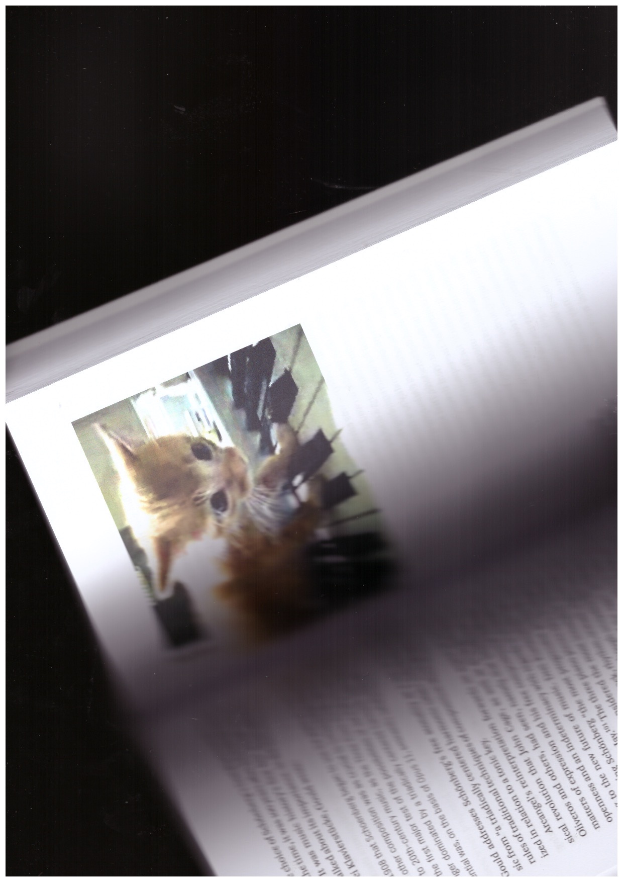 ARCANGEL, Cory; RØSSAAK, Eivind - The Cory Arcangel Hack