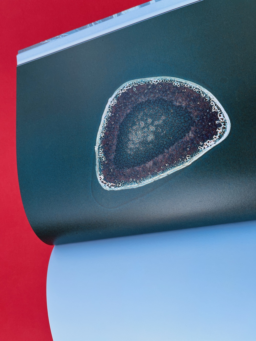 SCHÖNFELD, Sarah Ancelle - Labor Lab