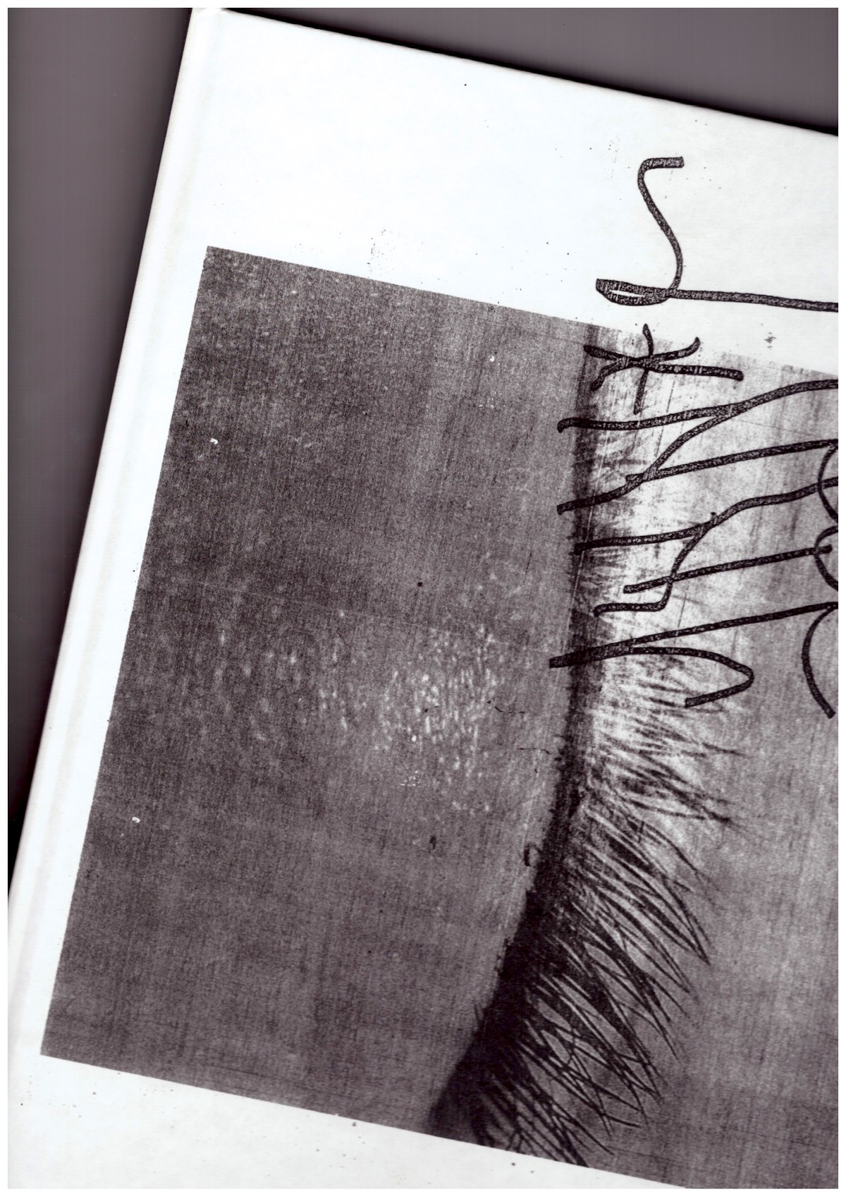 DOUARD, David - inner GLOw' replica